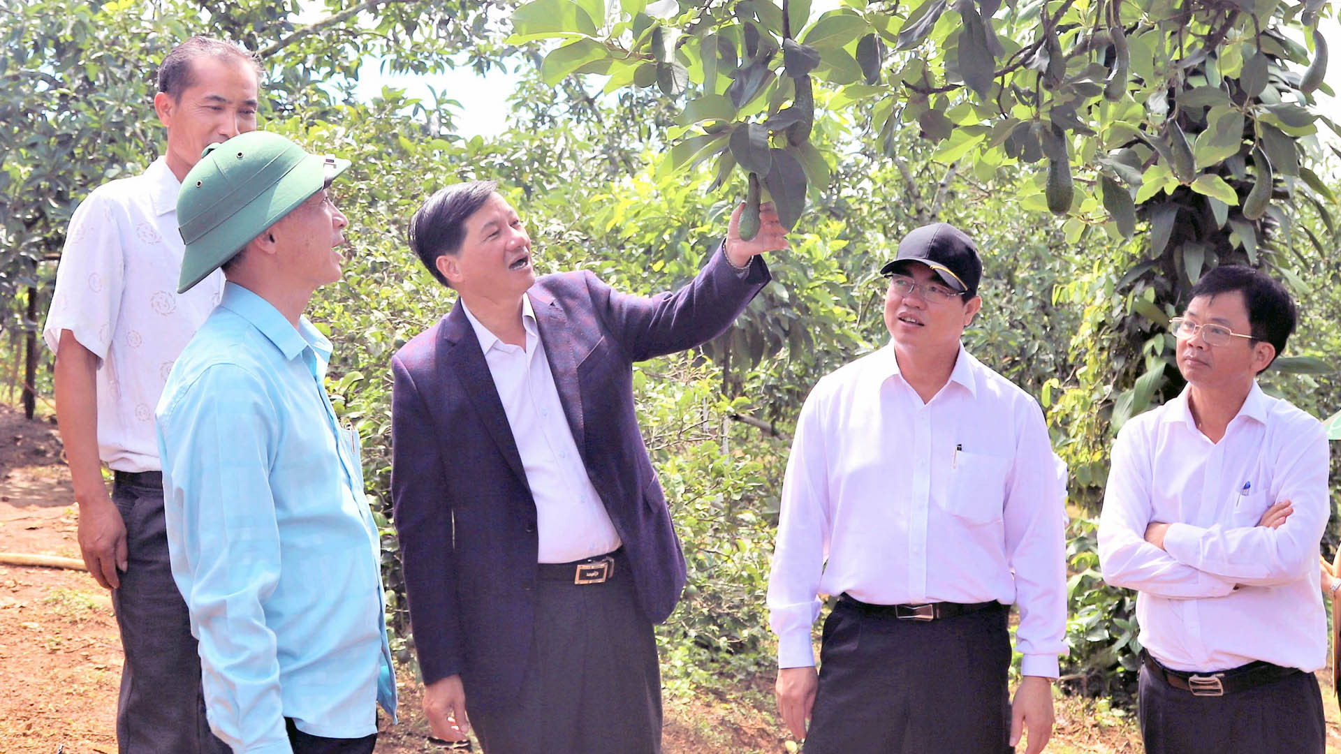 Lãnh đạo tỉnh Lâm Đồng thăm một số mô hình sản xuất tiêu biểu tại địa phương.