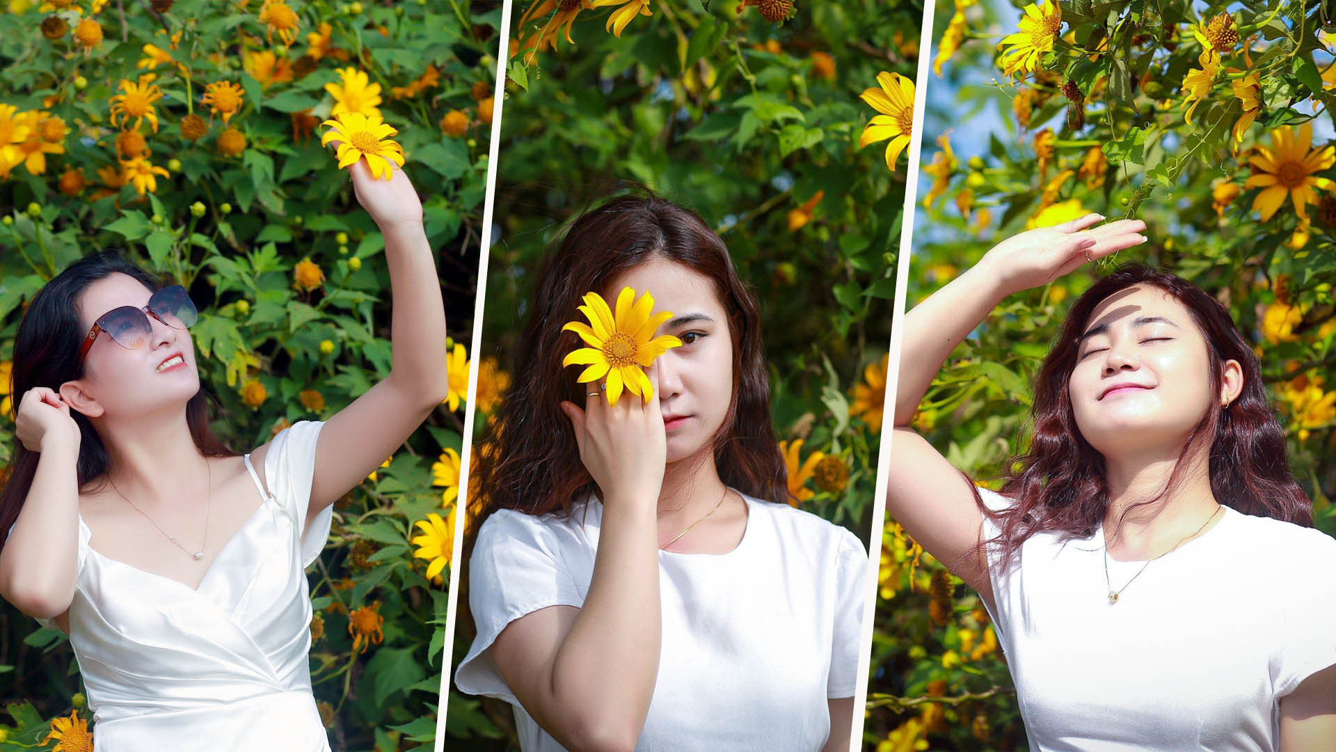 Không hương thơm quyến rũ, nhưng ai đã trót yêu loài hoa này đều cảm được “hương đất, nhụy trời” mùa nắng gió Tây Nguyên.