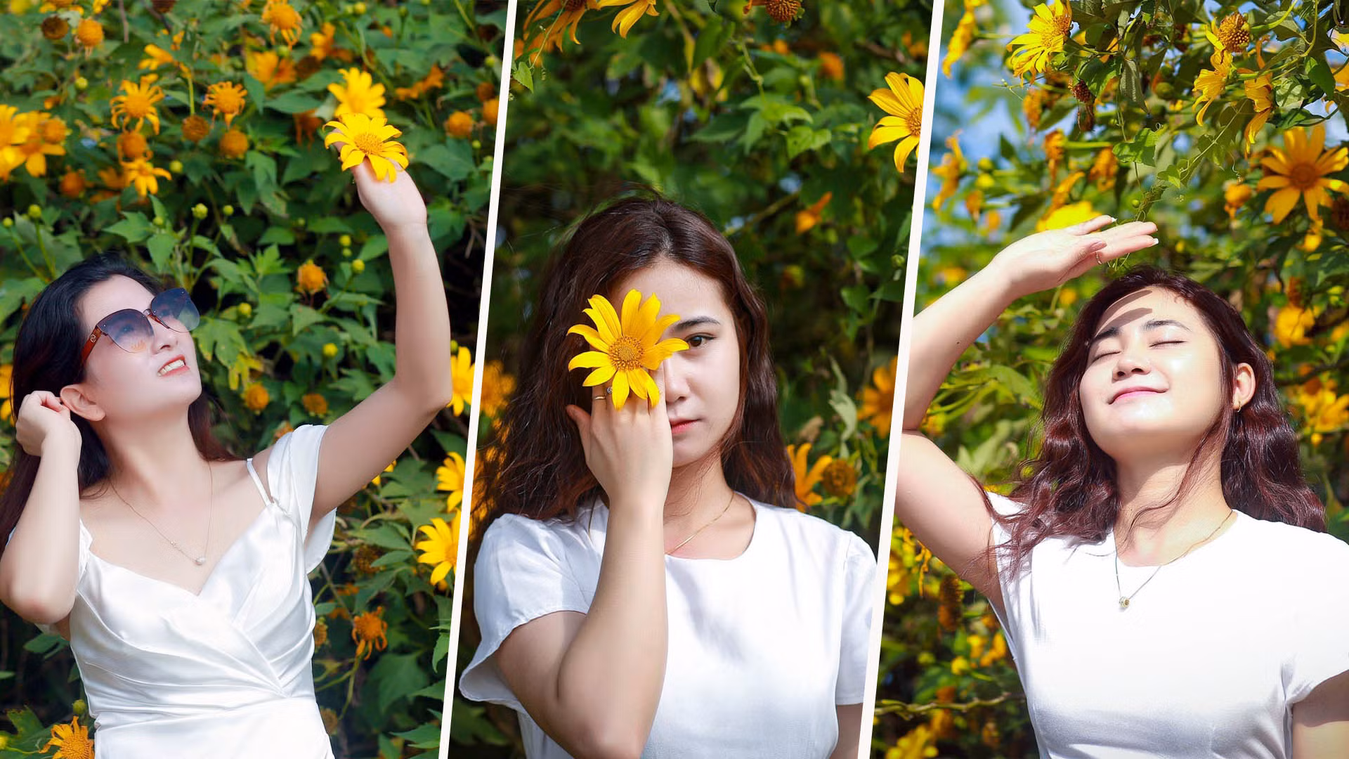 Không hương thơm quyến rũ, nhưng ai đã trót yêu loài hoa này đều cảm được “hương đất, nhụy trời” mùa nắng gió Tây Nguyên.