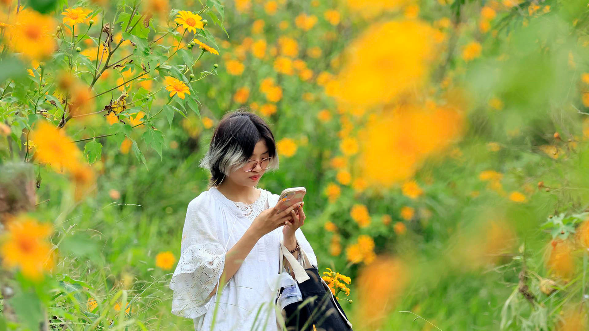 Mùa này, miền đất Nam Tây Nguyên luyến lưu sắc vàng hoa dại. Hoa ngập ngừng bên triền đồi, hoa thảnh thơi bên dốc vắng, hoa e ấp bên đường, hoa đan dệt thảm vàng dưới tán rừng thông, hoa rong chơi trên núi và e lệ khoe sắc nơi góc phố bình yên… Sắc vàng thanh tao, phóng khoáng.