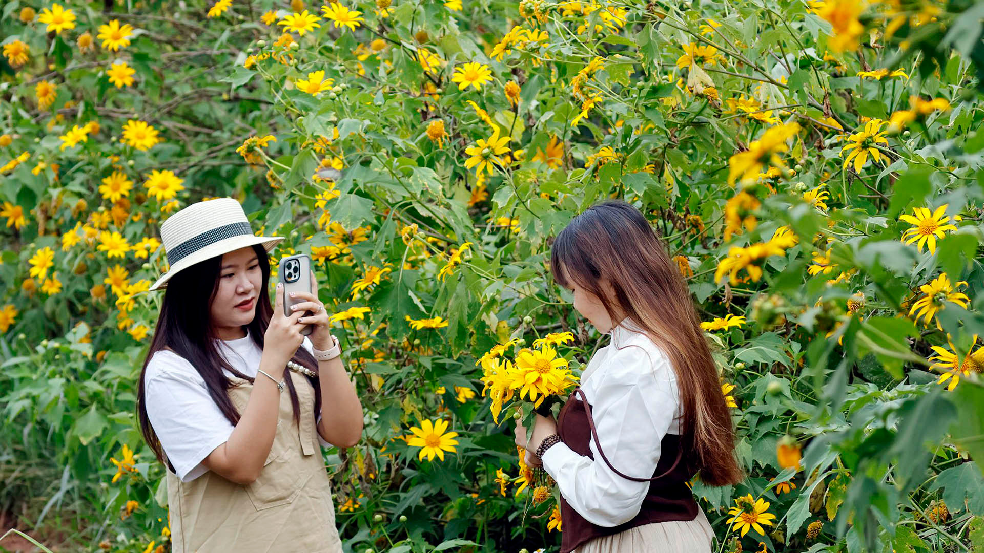 Đôi khi, những đóa dã quỳ cũng được nâng niu tết thành vương miện. Đôi khi, cô gái Cơ Ho, Chu Ru, Mnông… cũng e lệ ngắt nhành hoa vàng bên đường làm “tín hiệu yêu đương” với chàng trai mình thích.