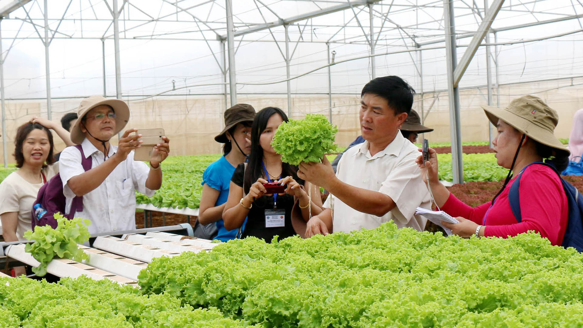 Du khách tham quan trang trại trồng rau thủy canh tại huyện Đức Trọng, tỉnh Lâm Đồng.