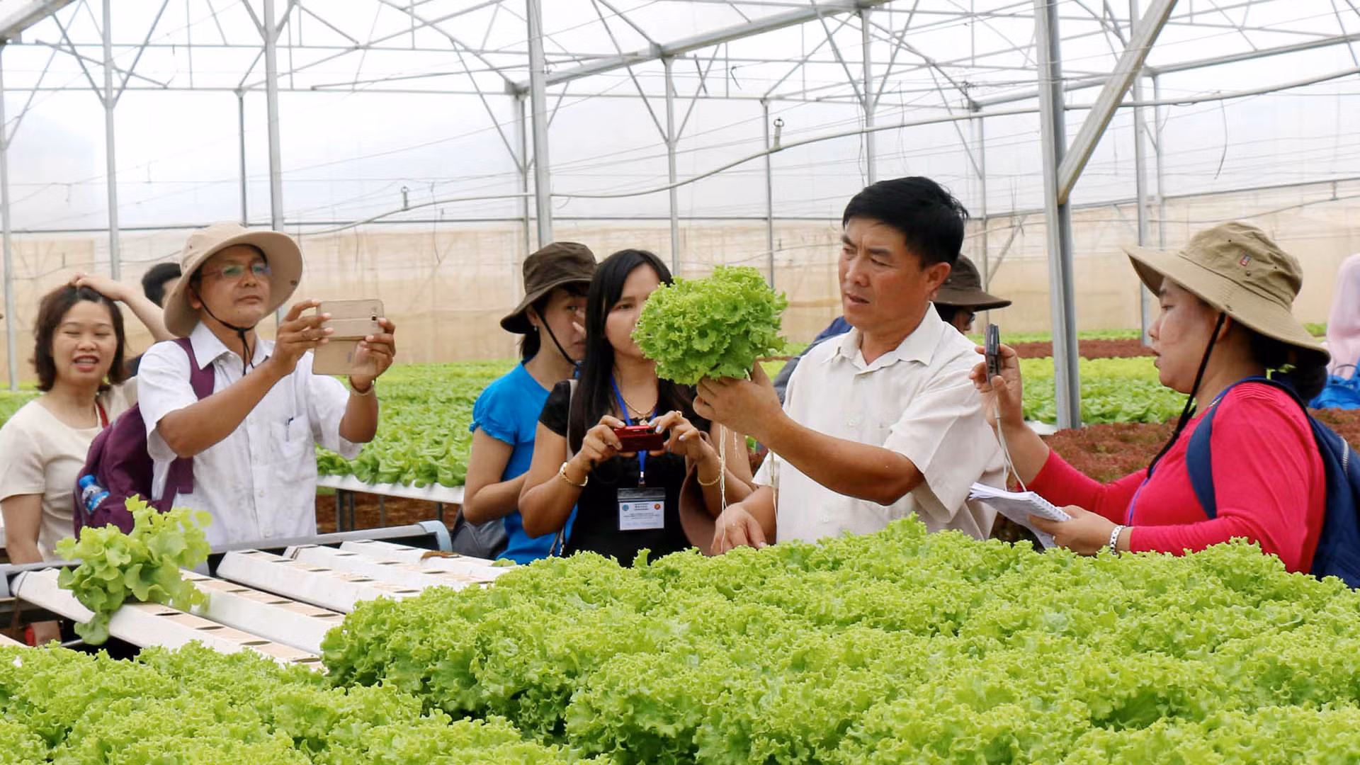 Du khách tham quan trang trại trồng rau thủy canh tại huyện Đức Trọng, tỉnh Lâm Đồng.