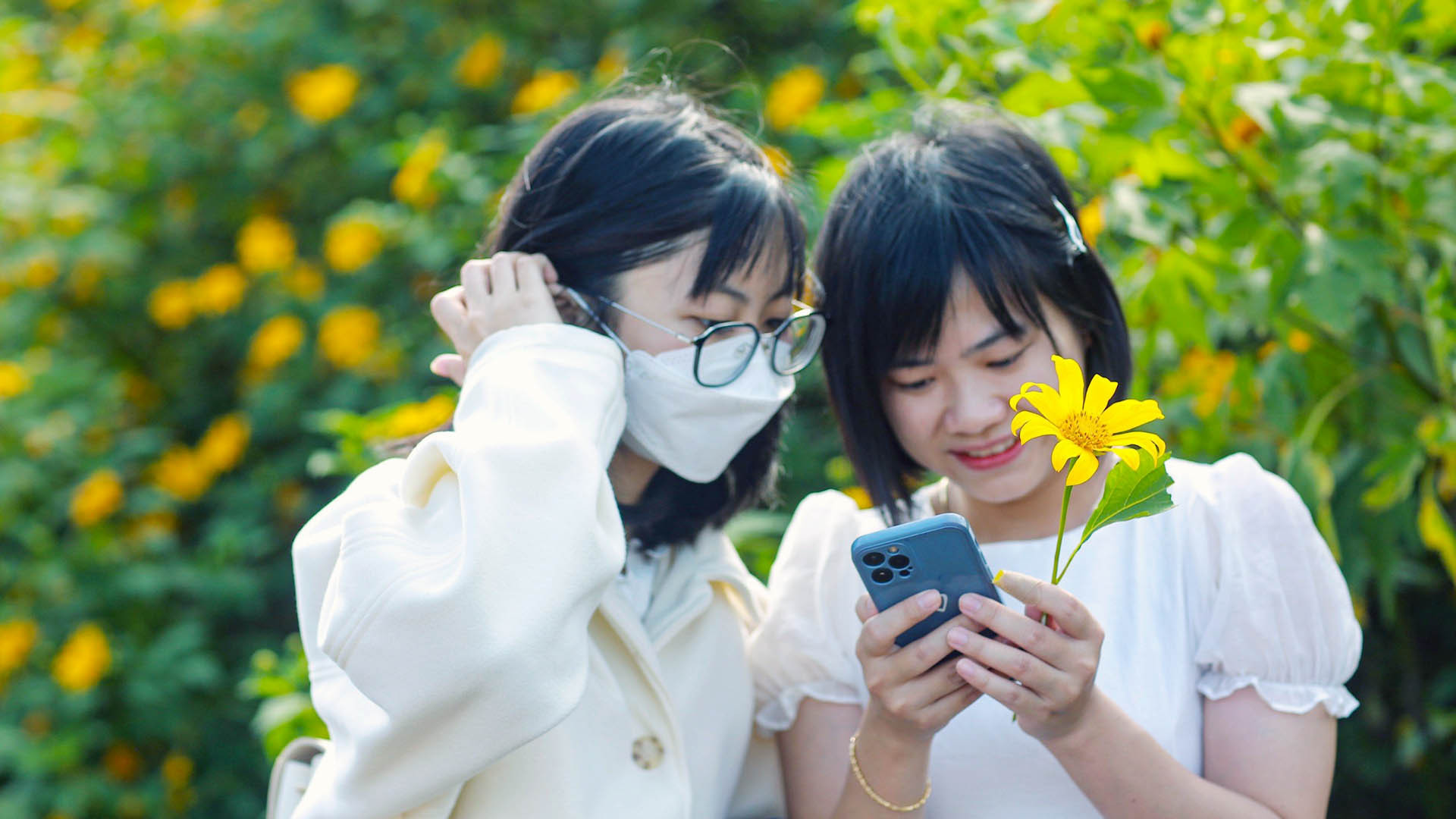 Những ngày này, dã quỳ đã “thắp” ánh vàng khắp các nẻo đường trên cao nguyên Langbiang, cao nguyên Di Linh và xứ B’Lao tên gọi thành phố Bảo Lộc một thuở… Hoa vàng bung nở cùng những nụ cười hiền ở những miền sơn dã.