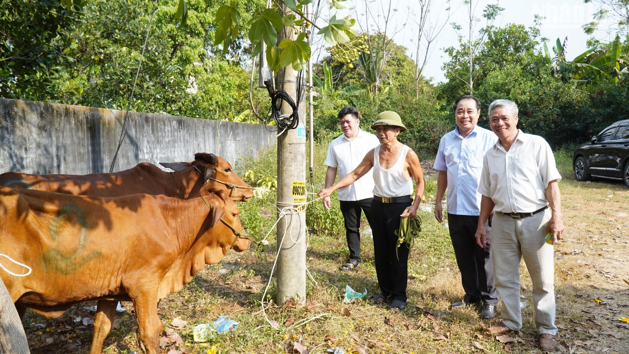 Hỗ trợ con giống cho người nghèo tại huyện Phú Riềng.