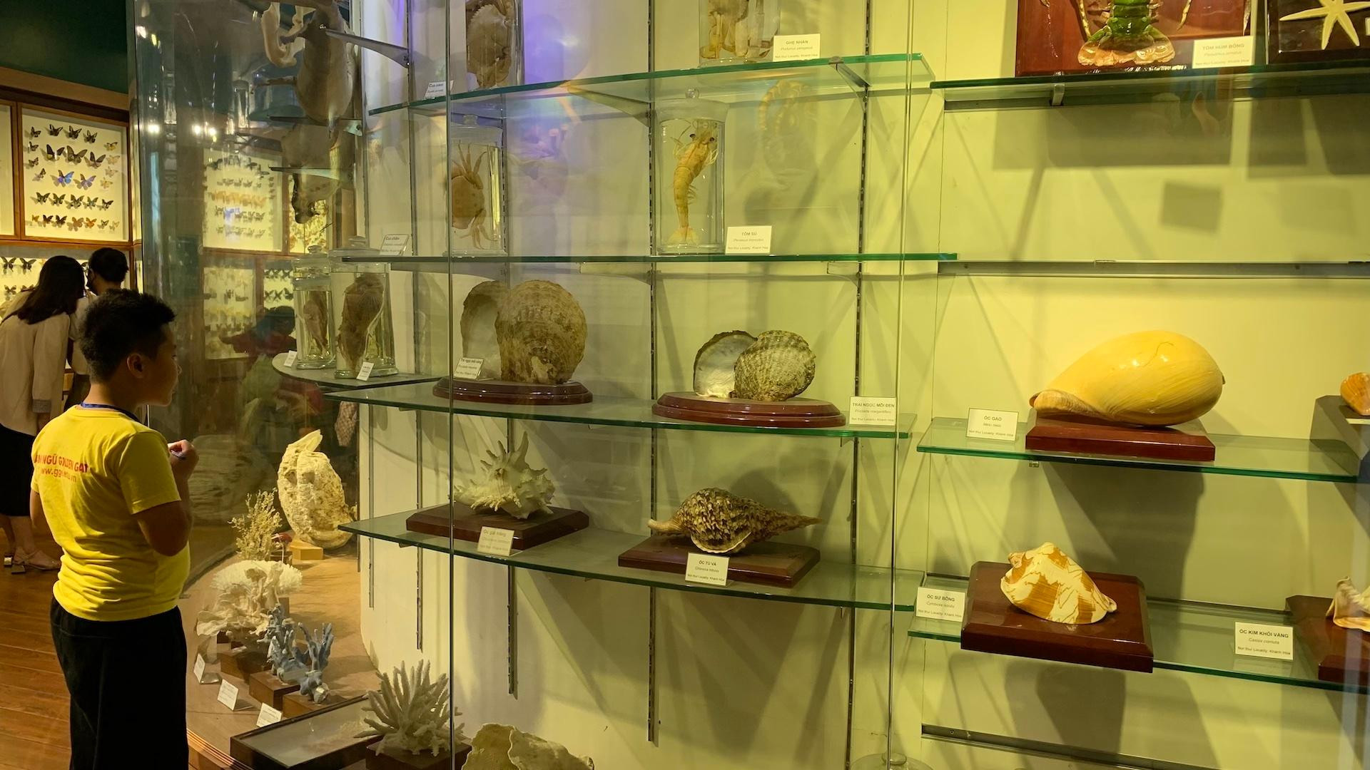 [Ảnh] Cuối tuần vừa chơi, vừa học tại Bảo tàng Thiên nhiên Việt Nam ảnh 8