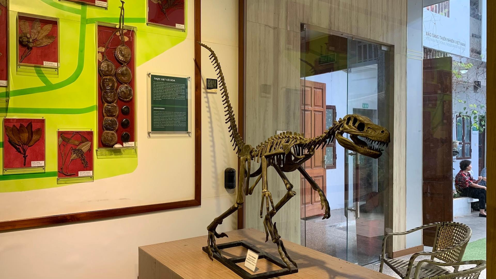 [Ảnh] Cuối tuần vừa chơi, vừa học tại Bảo tàng Thiên nhiên Việt Nam ảnh 18