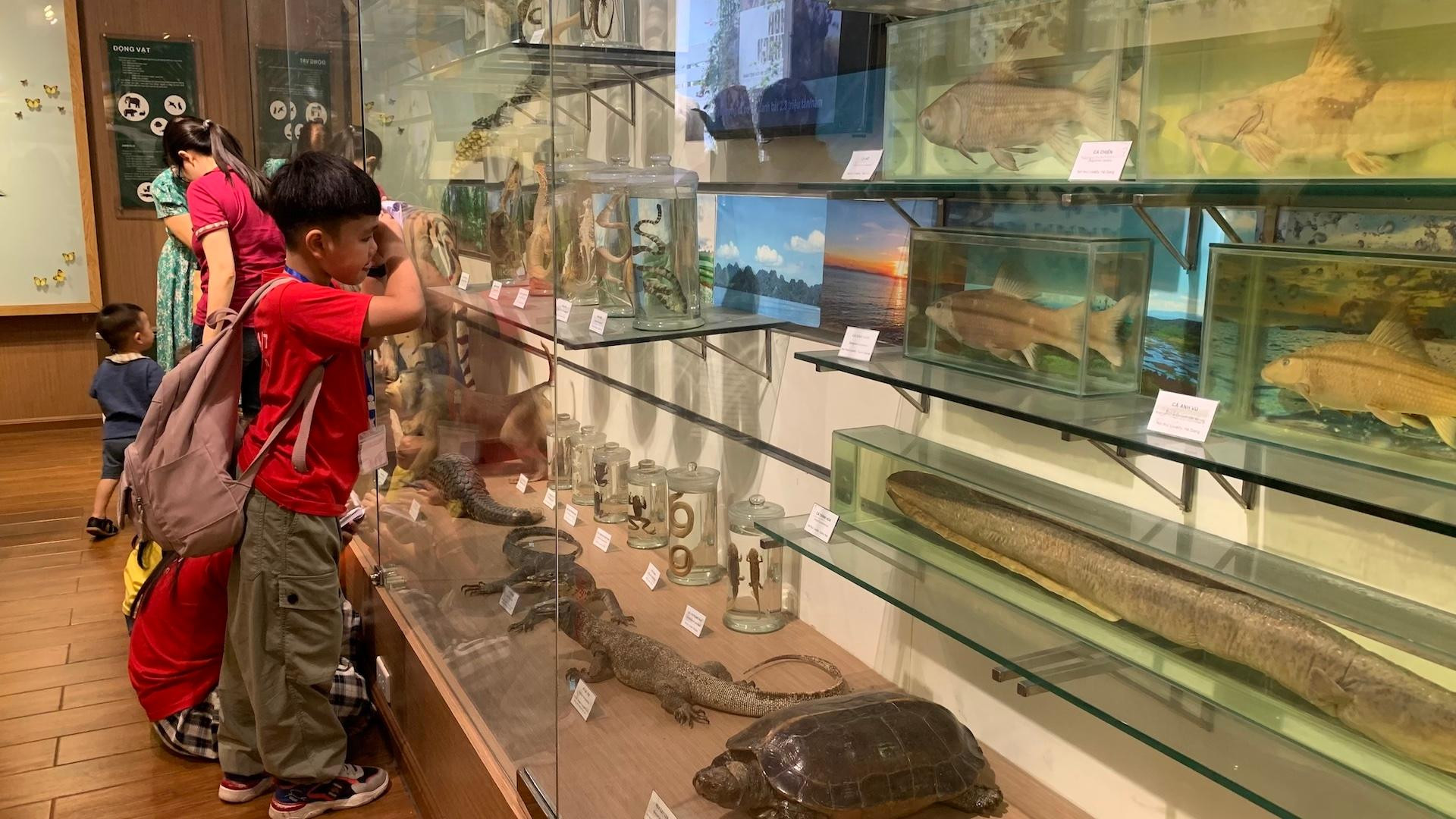 [Ảnh] Cuối tuần vừa chơi, vừa học tại Bảo tàng Thiên nhiên Việt Nam ảnh 10