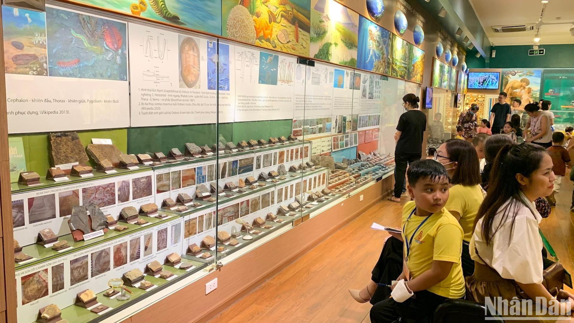 [Ảnh] Cuối tuần vừa chơi, vừa học tại Bảo tàng Thiên nhiên Việt Nam ảnh 4