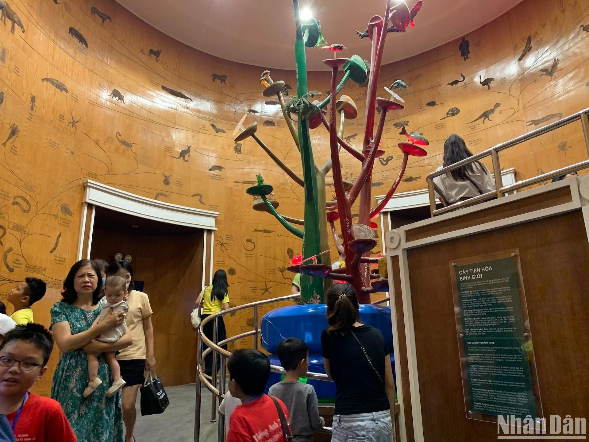 [Ảnh] Cuối tuần vừa chơi, vừa học tại Bảo tàng Thiên nhiên Việt Nam ảnh 2