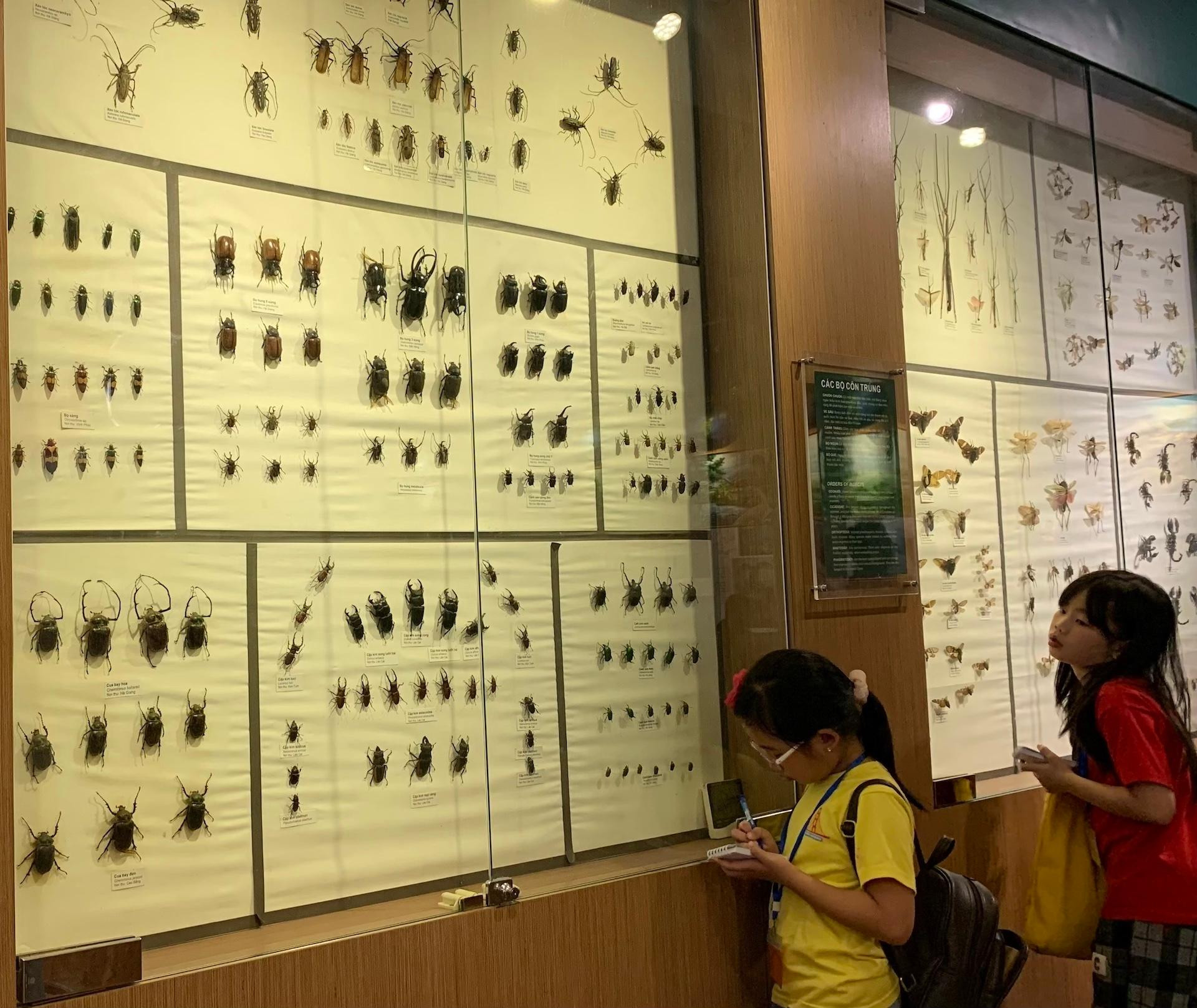 [Ảnh] Cuối tuần vừa chơi, vừa học tại Bảo tàng Thiên nhiên Việt Nam ảnh 14