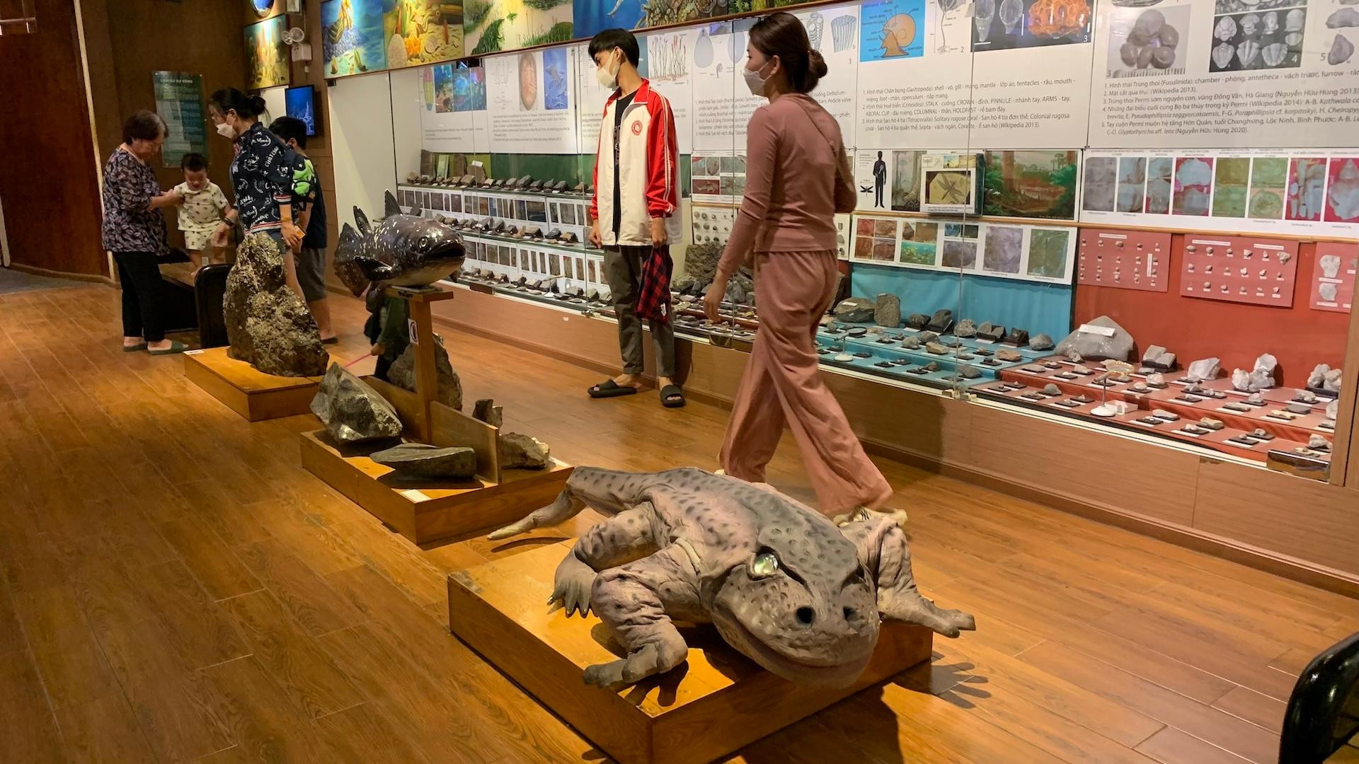 [Ảnh] Cuối tuần vừa chơi, vừa học tại Bảo tàng Thiên nhiên Việt Nam ảnh 7