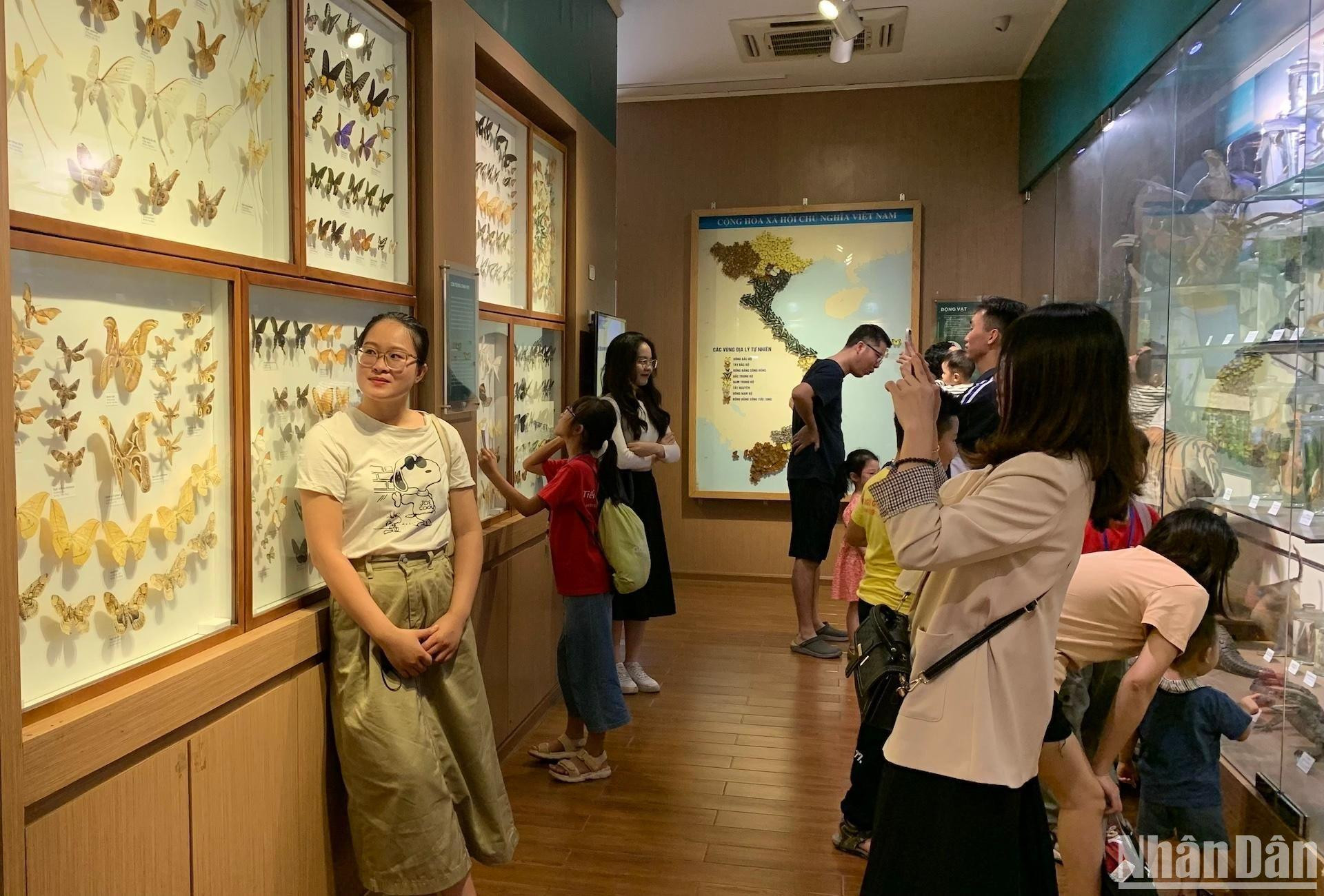 [Ảnh] Cuối tuần vừa chơi, vừa học tại Bảo tàng Thiên nhiên Việt Nam ảnh 12