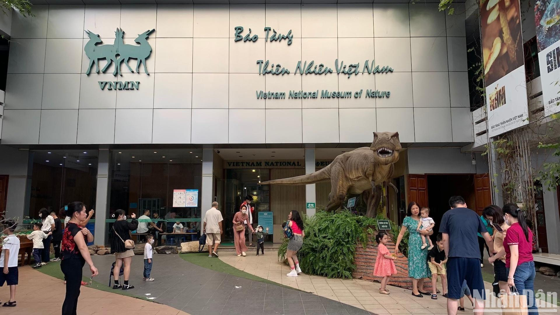 [Ảnh] Cuối tuần vừa chơi, vừa học tại Bảo tàng Thiên nhiên Việt Nam ảnh 1