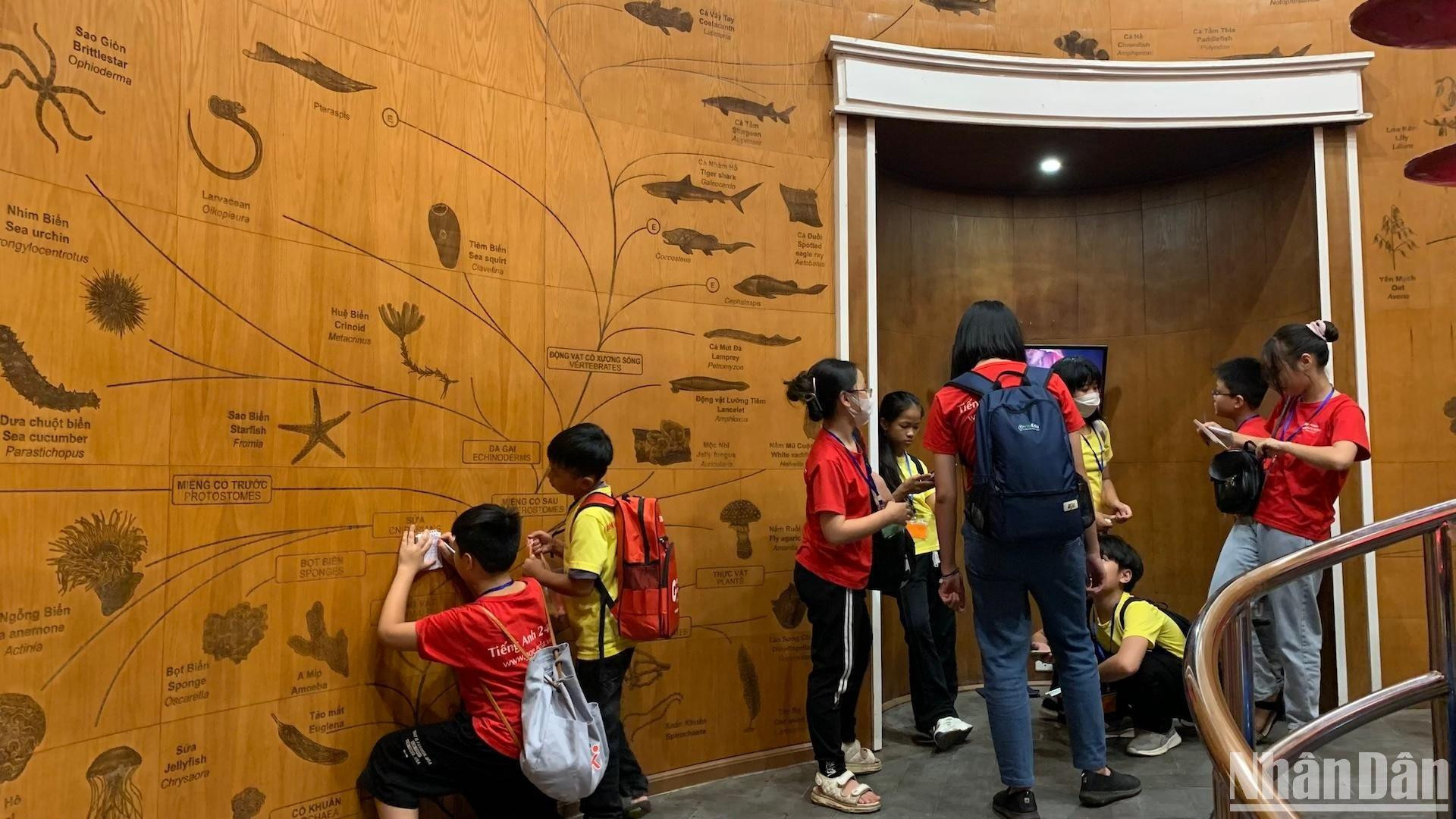 [Ảnh] Cuối tuần vừa chơi, vừa học tại Bảo tàng Thiên nhiên Việt Nam ảnh 3