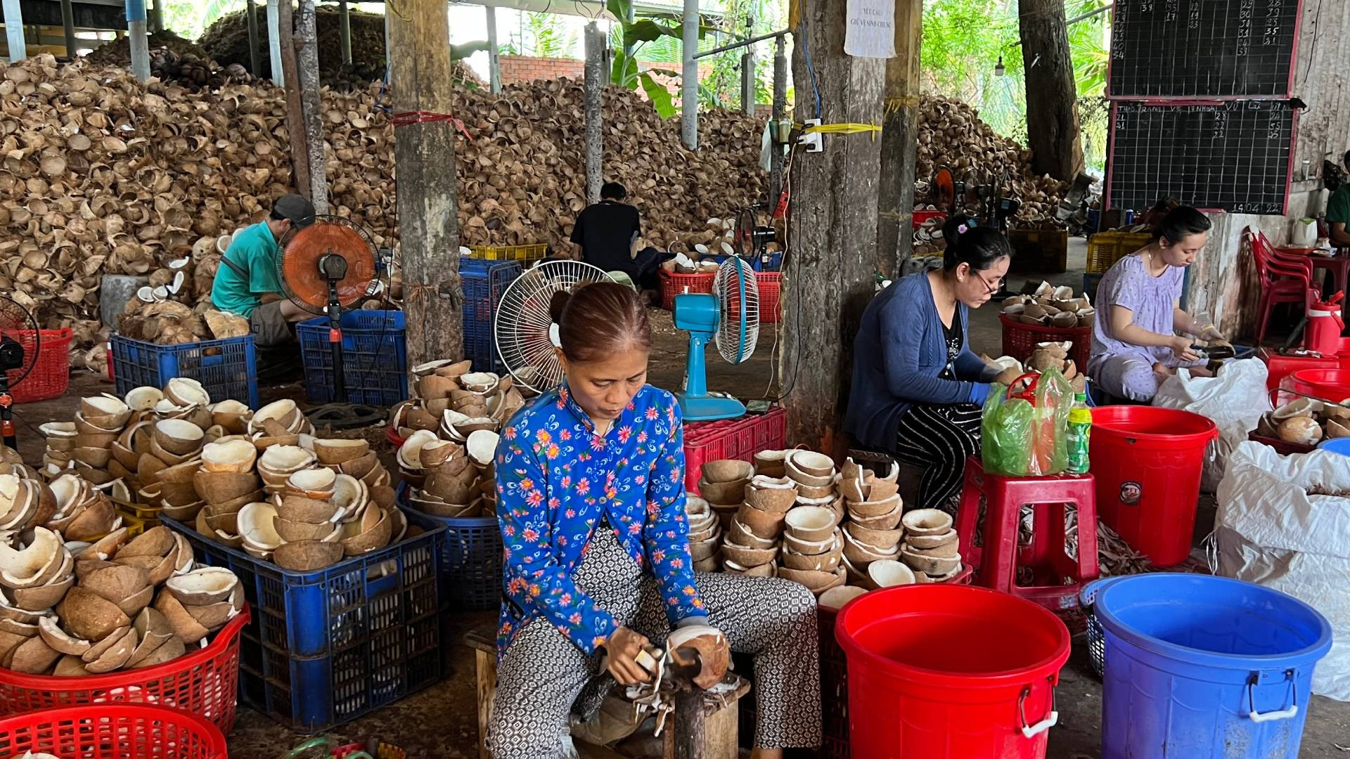 Nghề sơ chế dừa nguyên liệu tạo nhiều việc làm cho lao động nông thôn. (Ảnh: HOÀNG TRUNG)