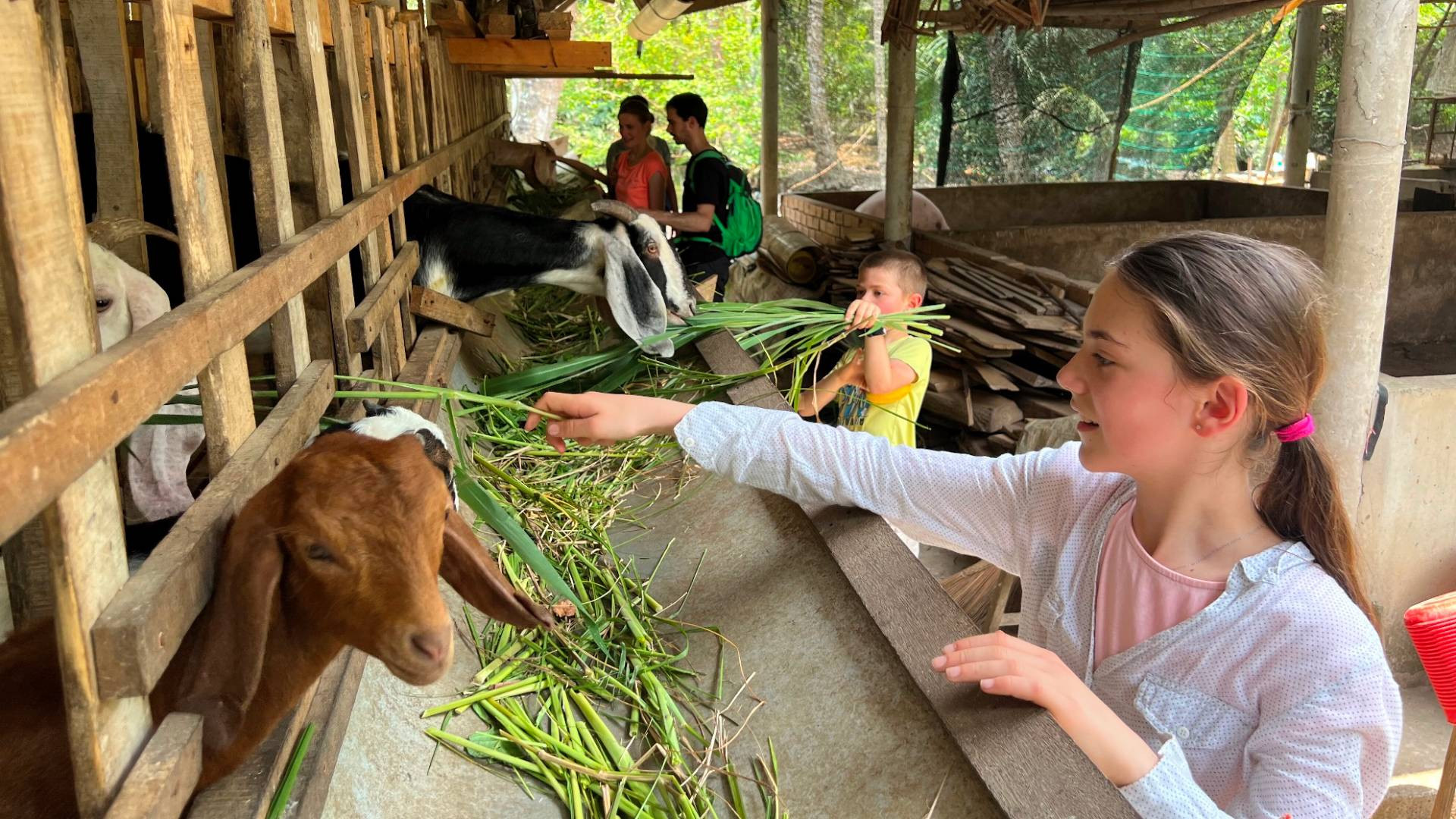 Du khách nước ngoài khám phá công việc chăn nuôi của người dân địa phương. Du khách nước ngoài khám phá công việc chăn nuôi của người dân địa phương.