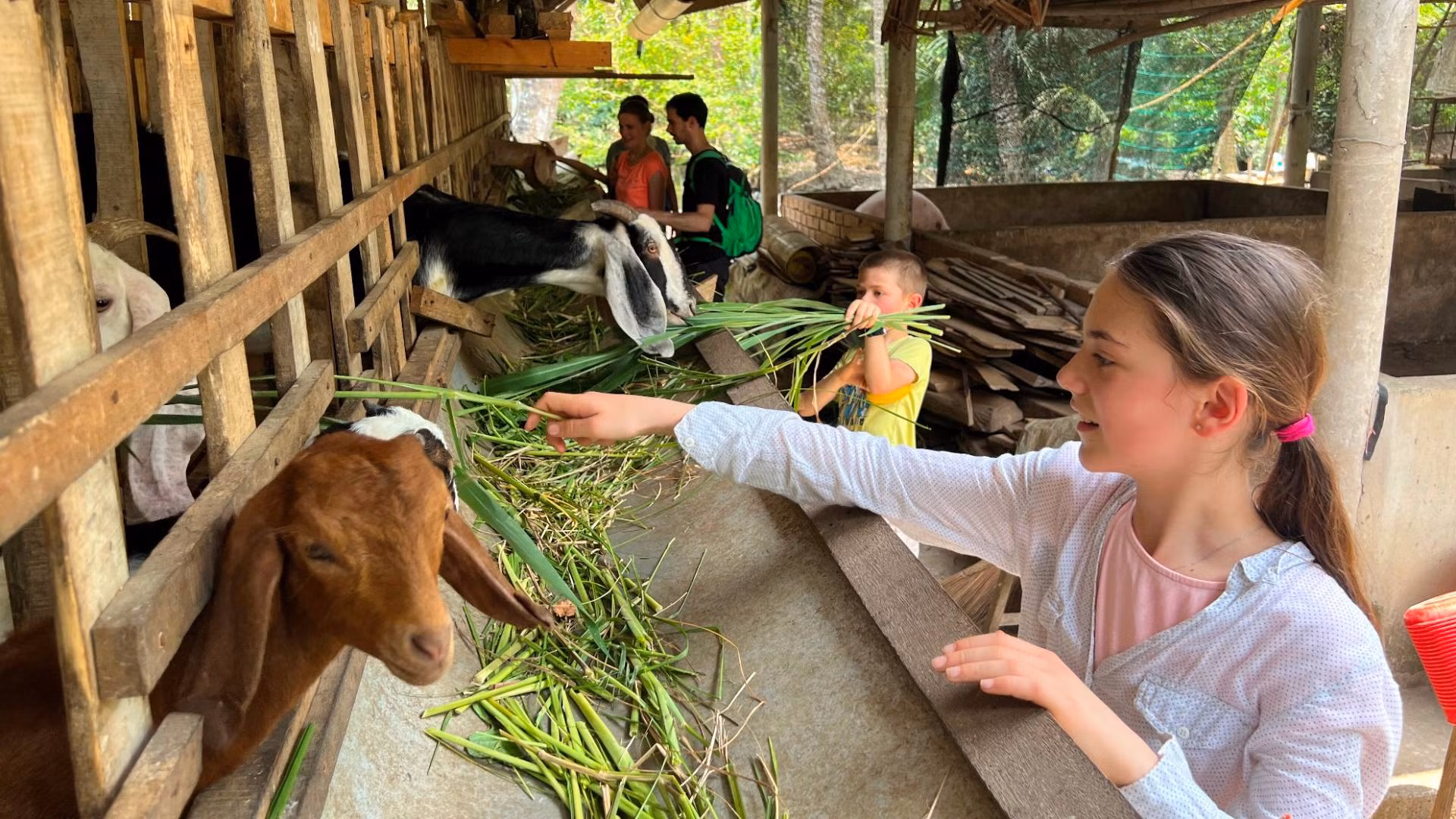 Du khách nước ngoài khám phá công việc chăn nuôi của người dân địa phương.