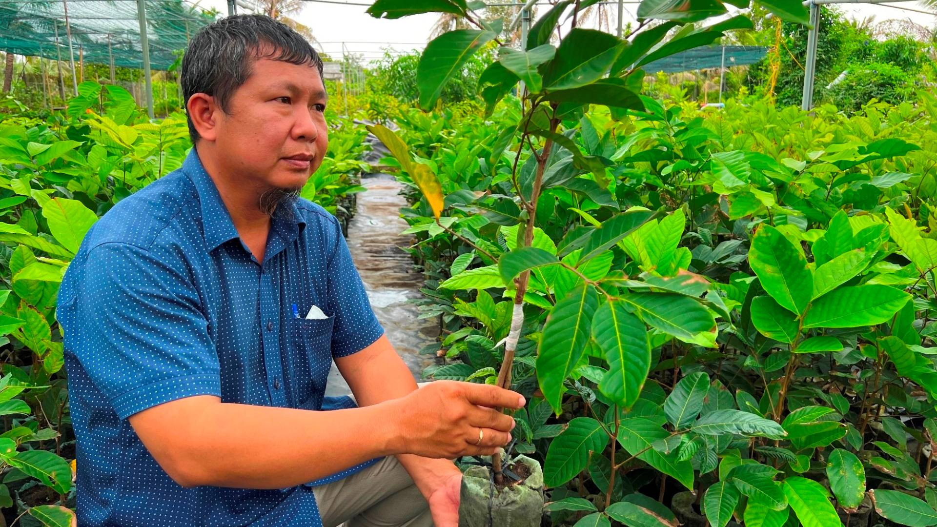 Hợp tác xã nông nghiệp Thắng Lợi ứng dụng công nghệ sản xuất giá thể sạch bệnh để nhân giống. Hợp tác xã nông nghiệp Thắng Lợi ứng dụng công nghệ sản xuất giá thể sạch bệnh để nhân giống.