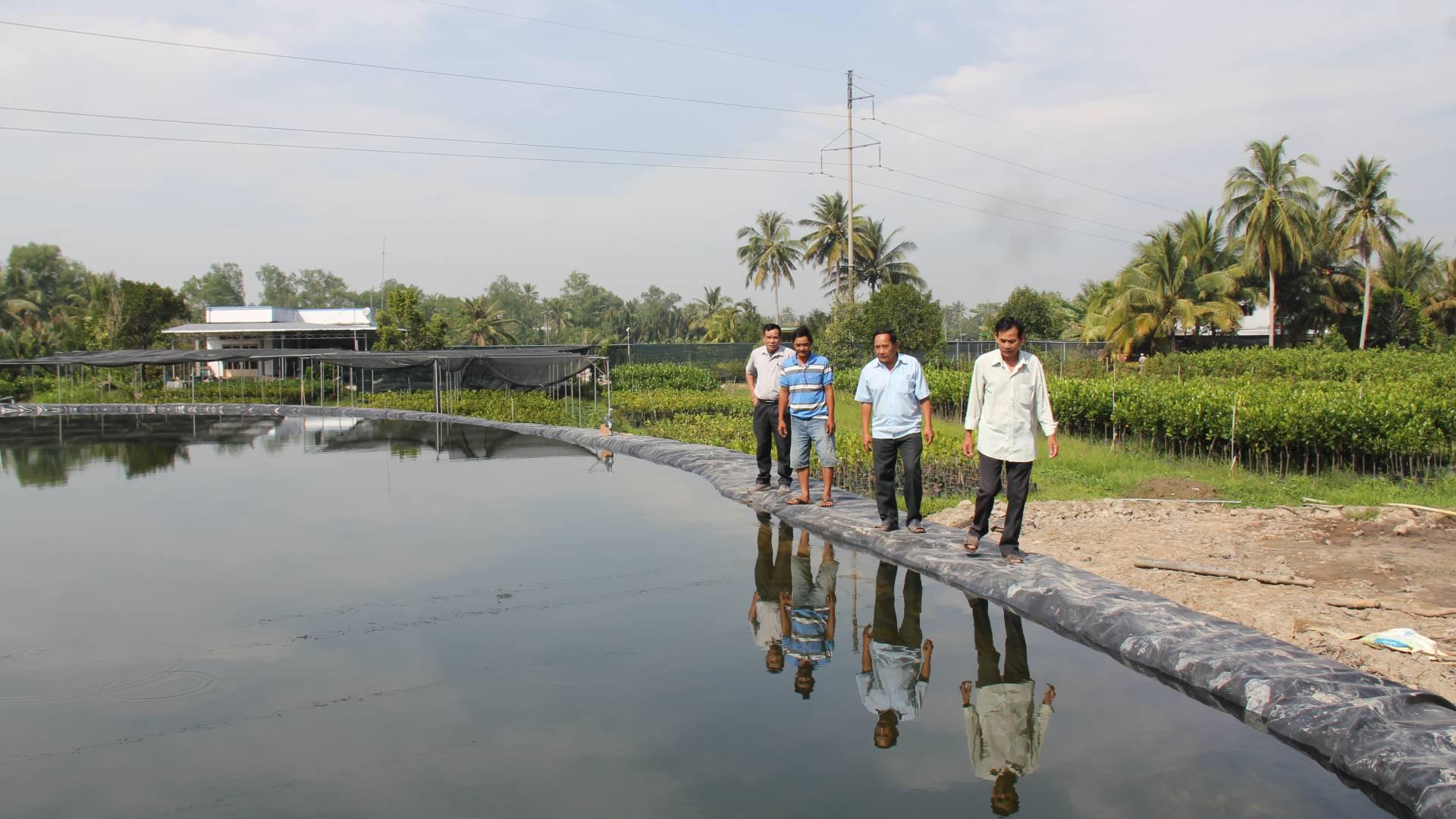 Người dân huyện Chợ Lách tập trung trữ nước ngọt phục vụ sản xuất cây giống.