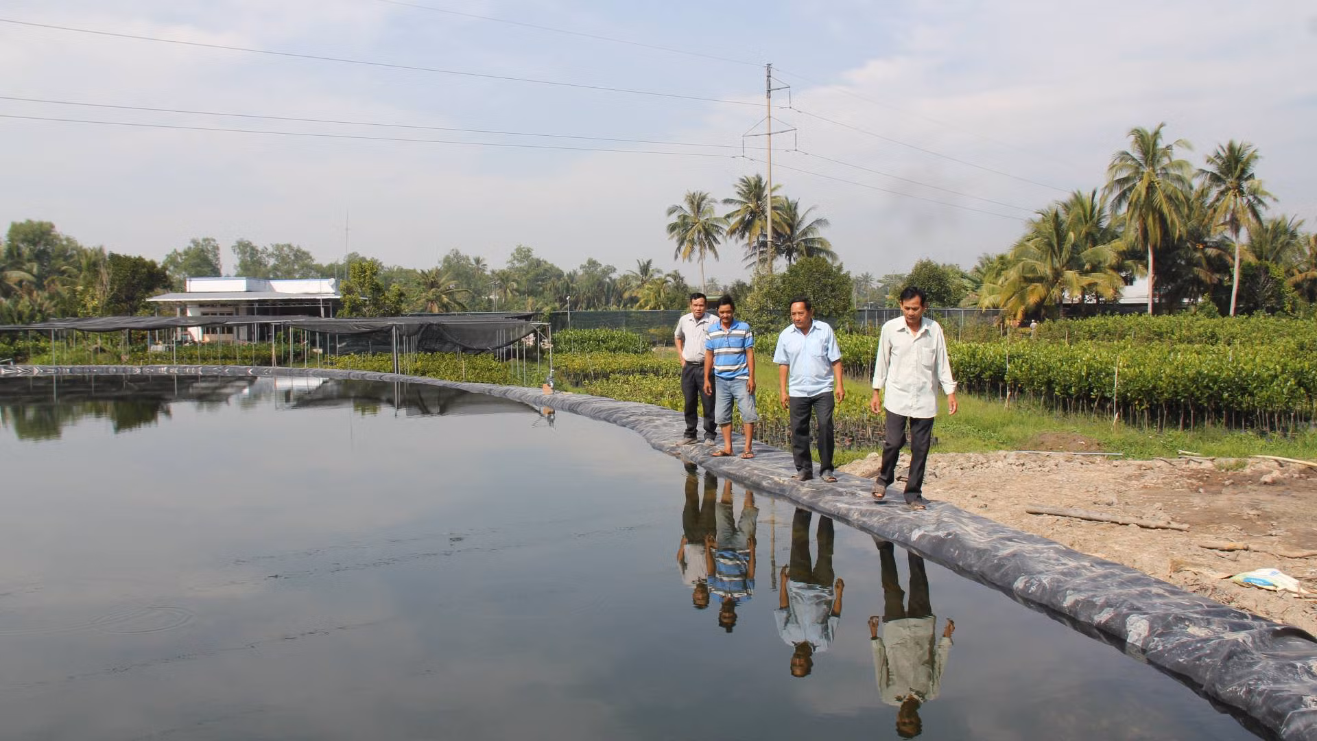 Người dân huyện Chợ Lách tập trung trữ nước ngọt phục vụ sản xuất cây giống.