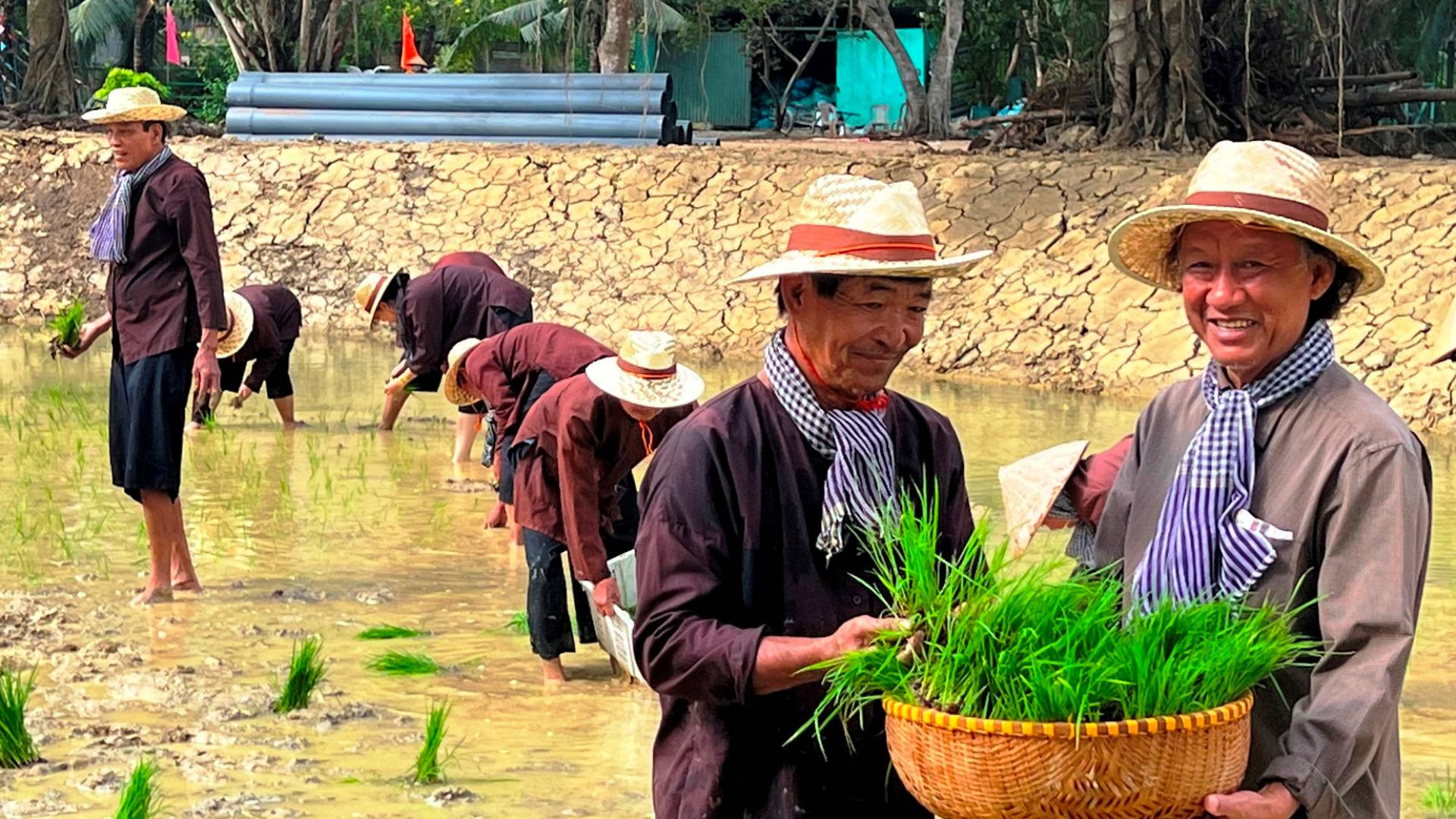 Cựu chiến binh Trần Bá Sanh (phải) cho mượn đất trồng lúa để giúp cựu chiến binh gặp khó khăn.