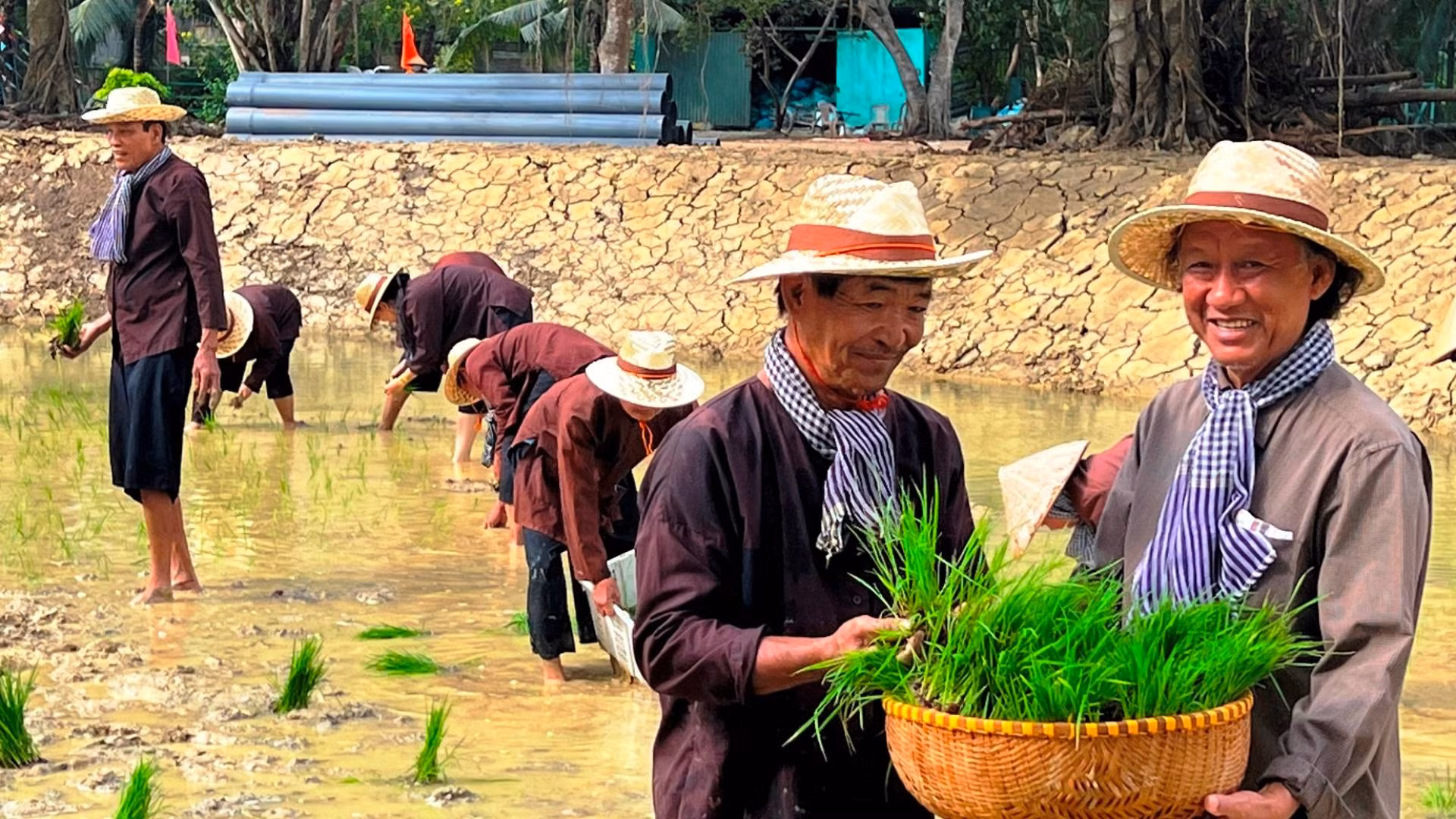 Cựu chiến binh Trần Bá Sanh (phải) cho mượn đất trồng lúa để giúp cựu chiến binh gặp khó khăn.