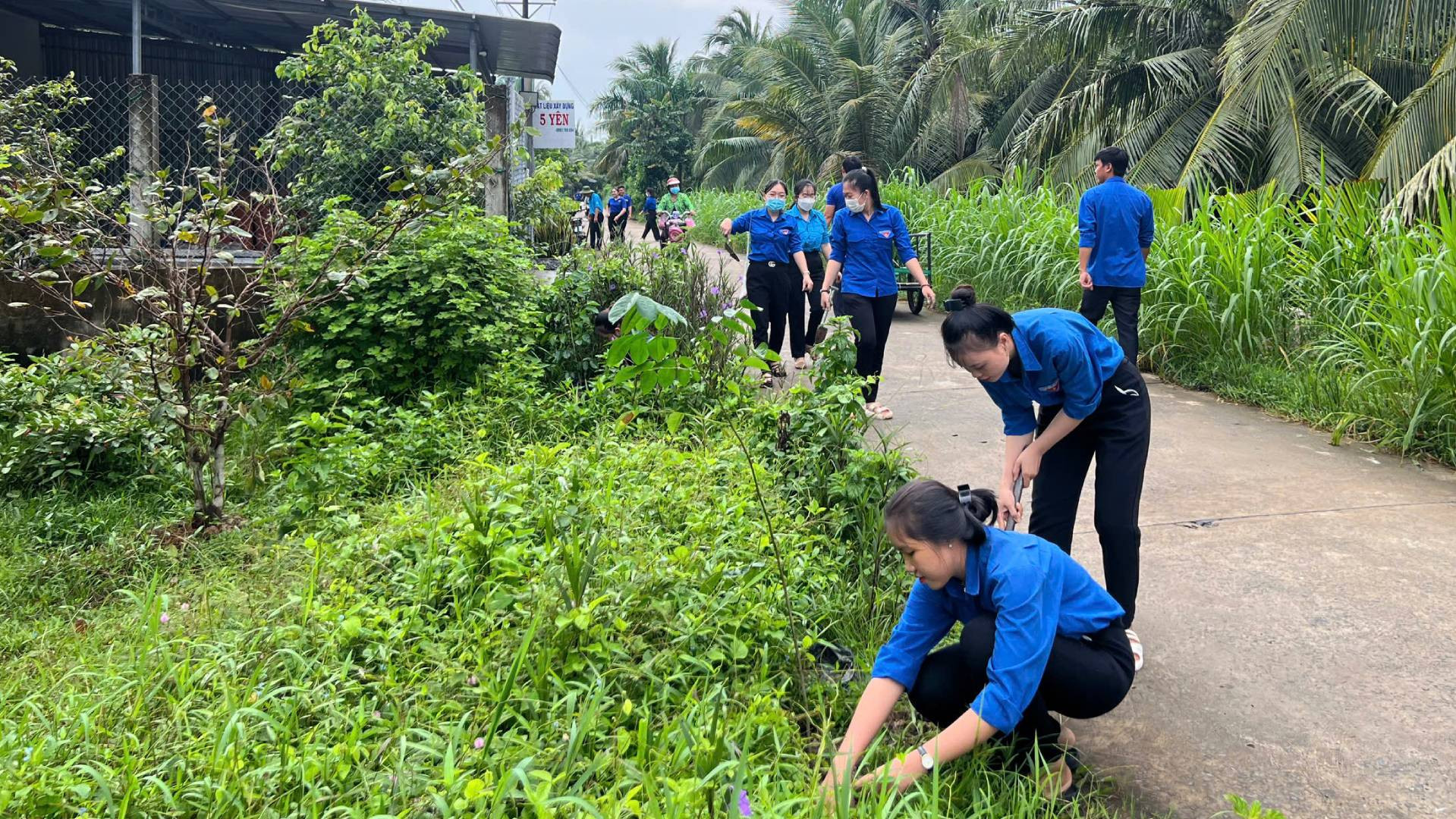 Lực lượng đoàn viên, thanh niên trồng cây xanh tại tuyến đường giao thông nông thôn xã An Thới (huyện Mỏ Cày Nam, tỉnh Bến Tre). (Ảnh: HOÀNG TRUNG) Lực lượng đoàn viên, thanh niên trồng cây xanh tại tuyến đường giao thông nông thôn xã An Thới (huyện Mỏ Cày Nam, tỉnh Bến Tre). (Ảnh: HOÀNG TRUNG)