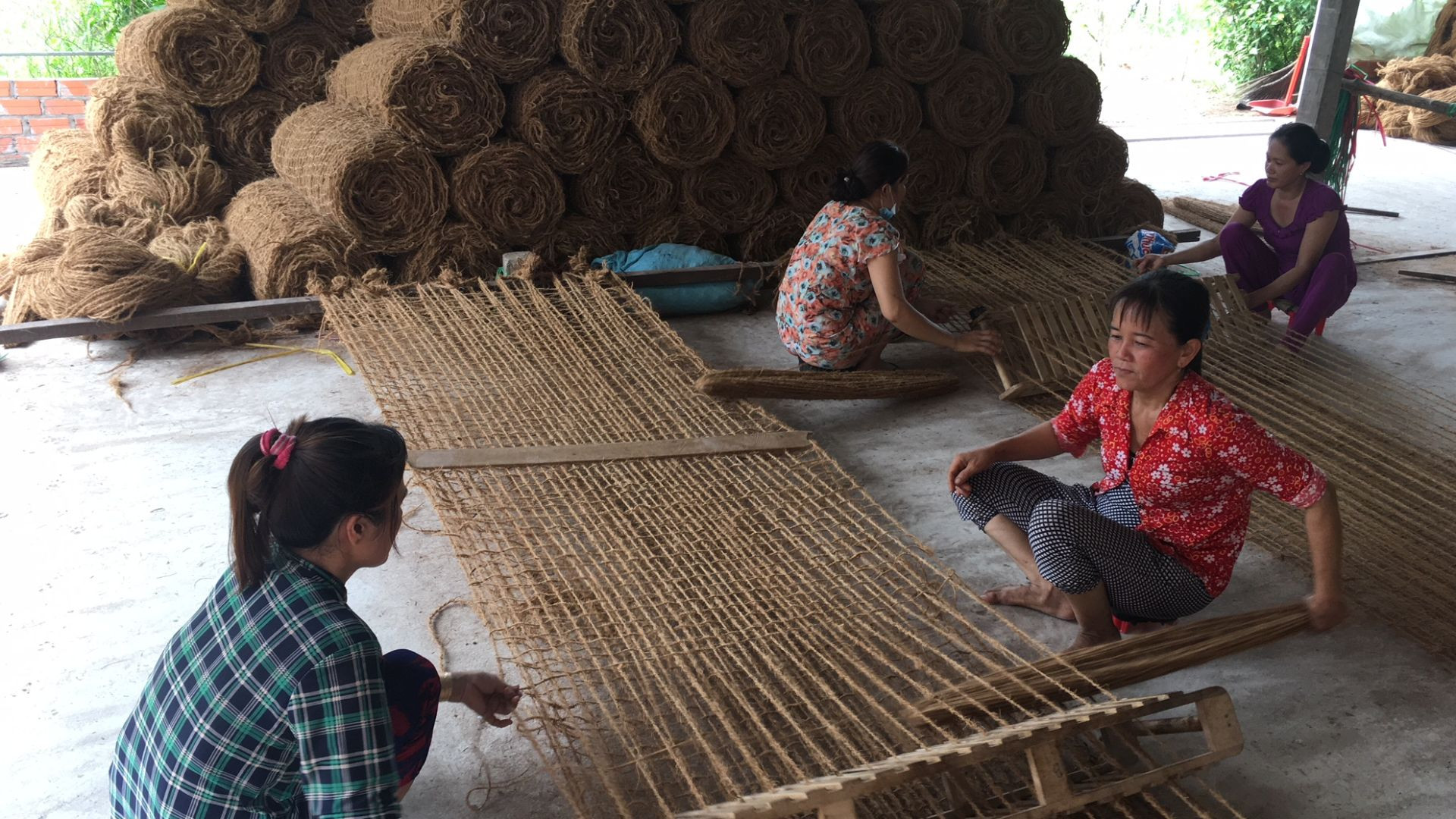 Dệt chỉ xơ dừa tạo việc làm cho nhiều phụ nữ tại nông thôn. Dệt chỉ xơ dừa tạo việc làm cho nhiều phụ nữ tại nông thôn.