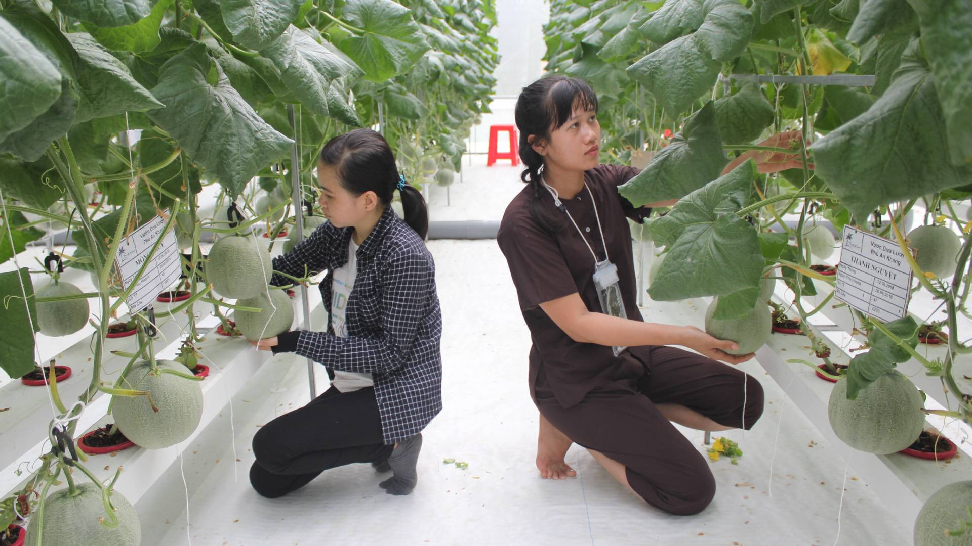 Nguồn nhân lực chất lượng cao giúp ứng dụng khoa học, công nghệ phục vụ phát triển kinh tế - xã hội. (Ảnh: HOÀNG TRUNG)