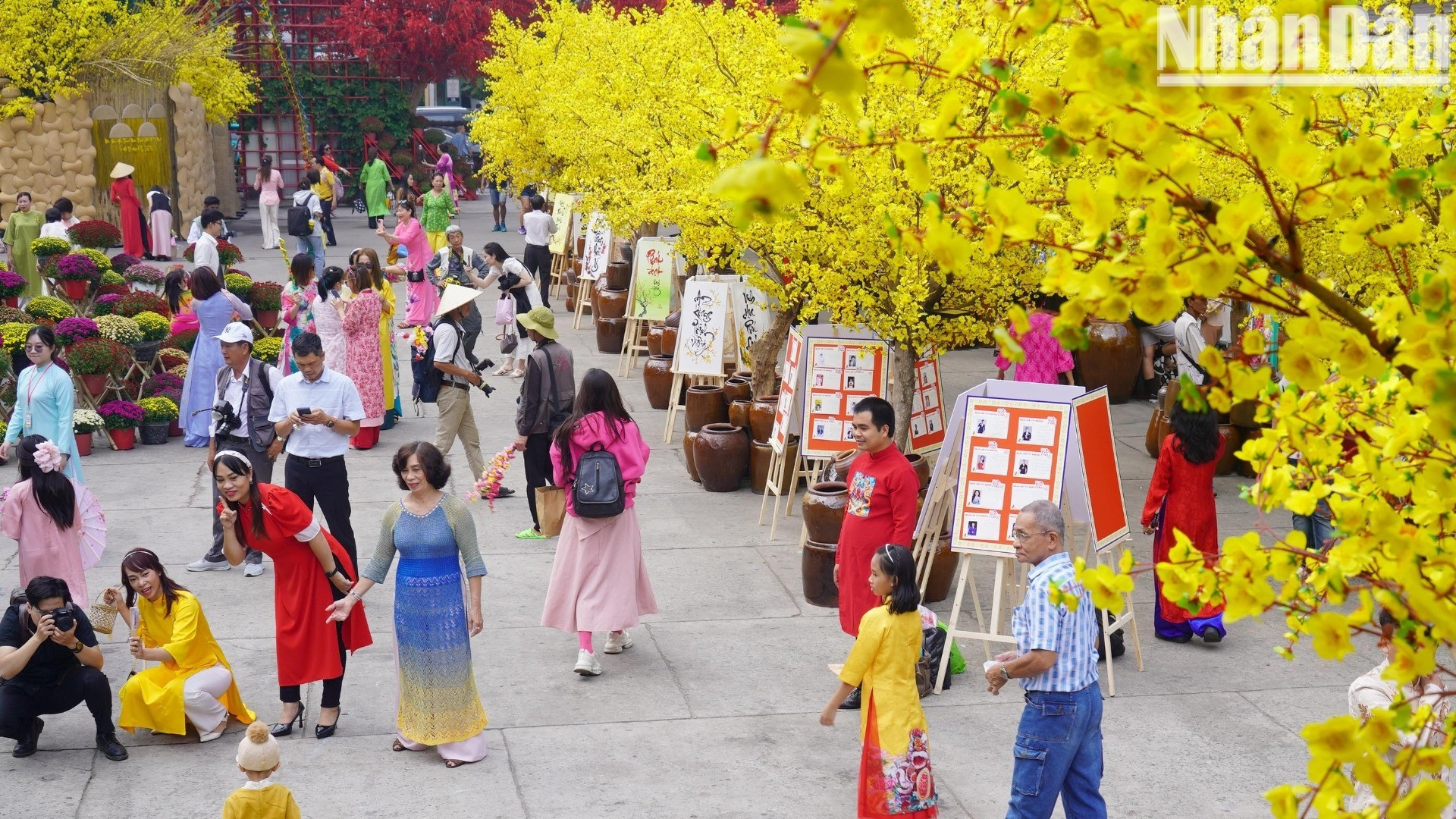 Đường mai đẹp rực rỡ tạo nên khung cảnh không gian Tết Việt.