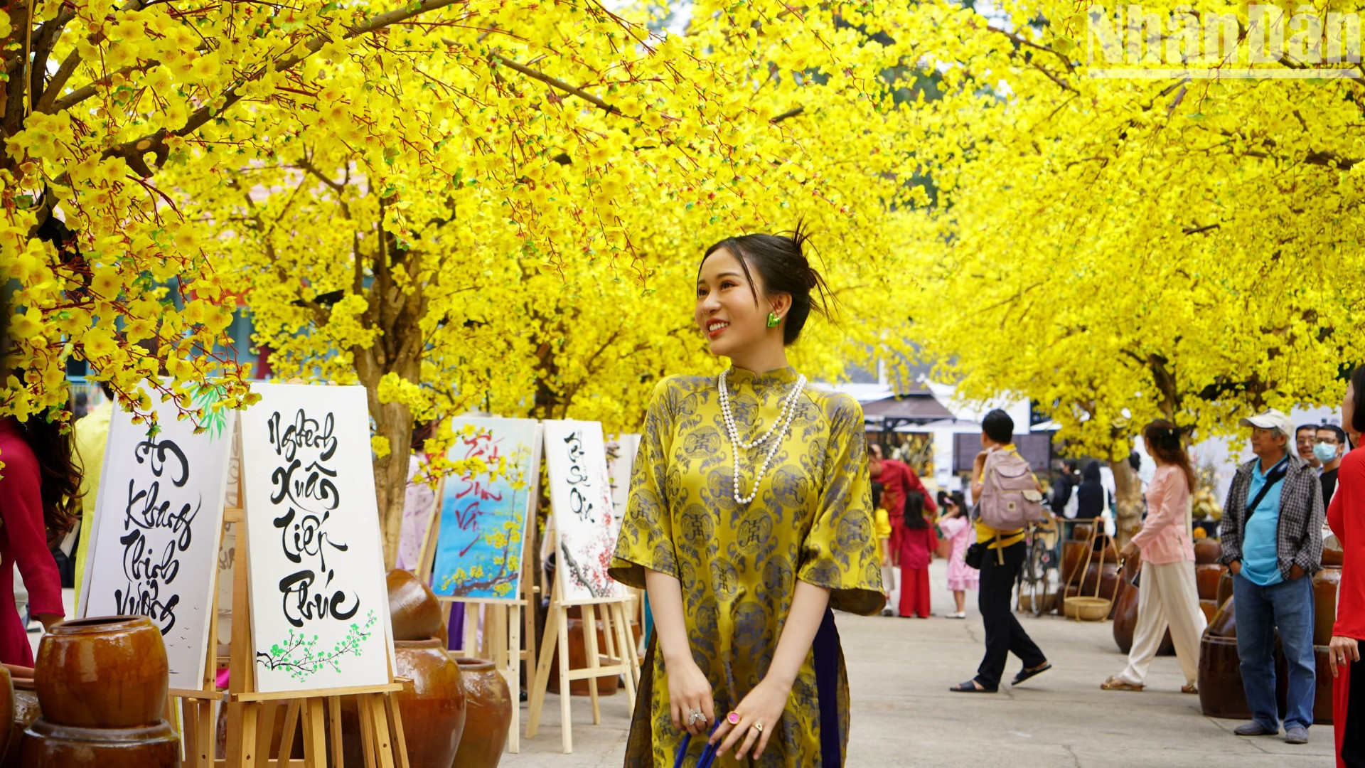 Các cây mai được tạo nên cụm không gian nghệ thuật độc đáo.