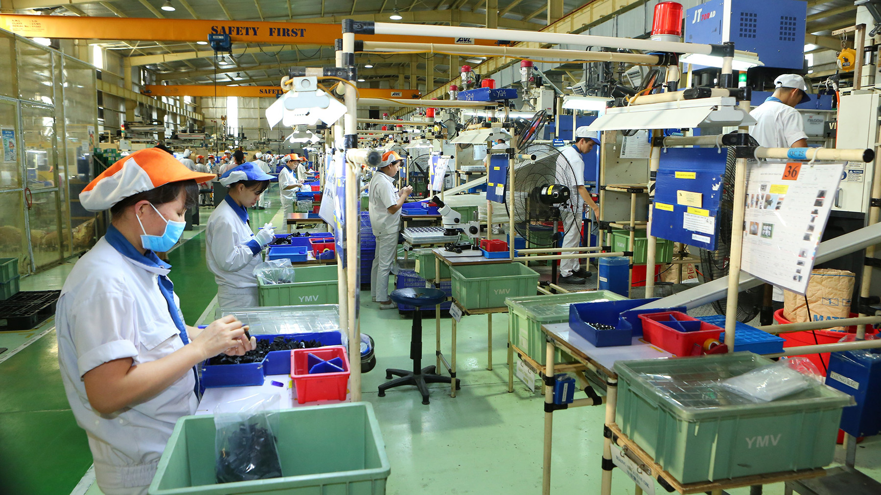 Ảnh: Thành Đạt.