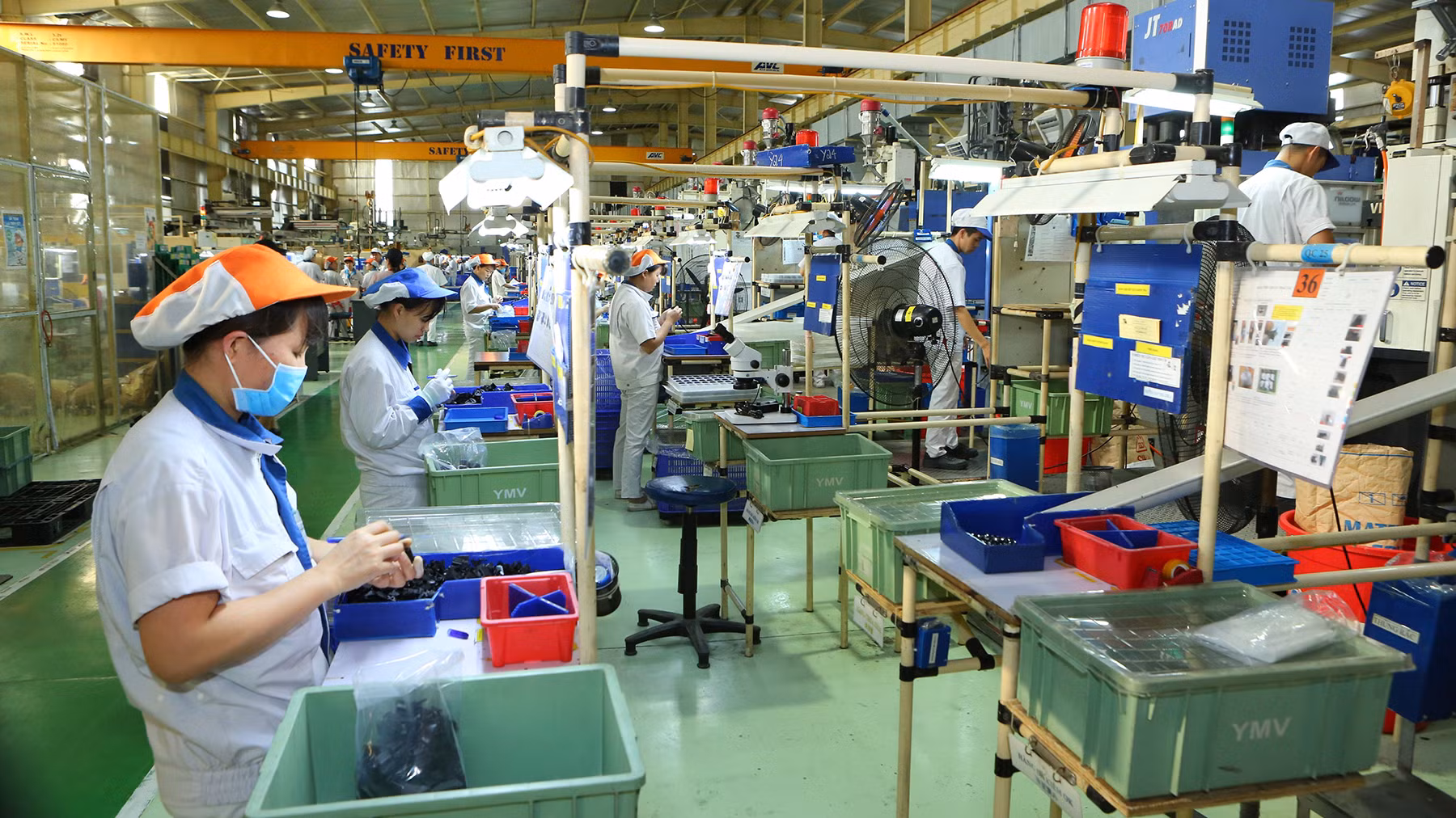 Ảnh: Thành Đạt.