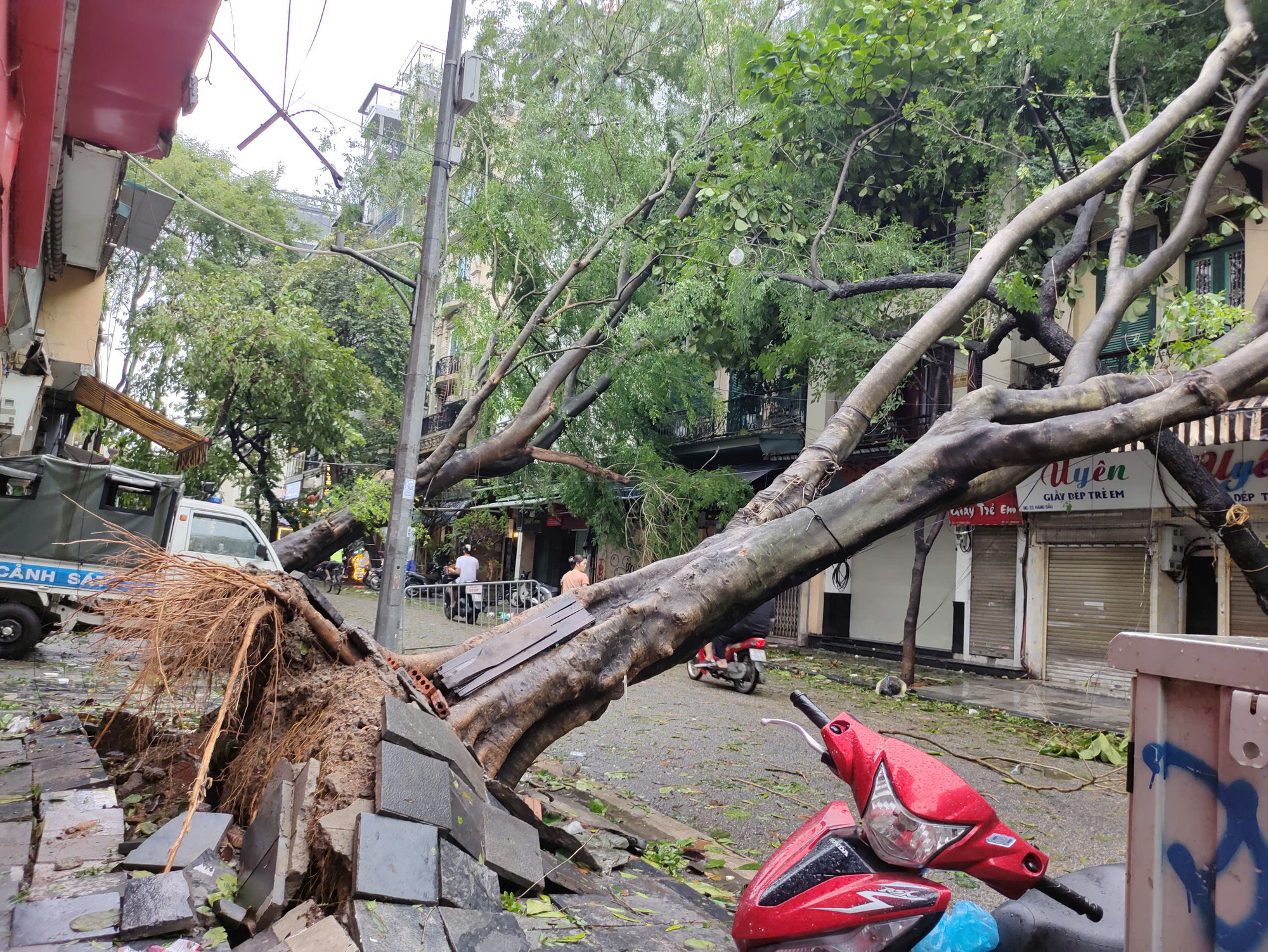 Nhiều cây to, cây cổ thụ gãy đổ dọc khu vực phố Hàng Dầu, Hà Nội. (Ảnh: DUY LINH)