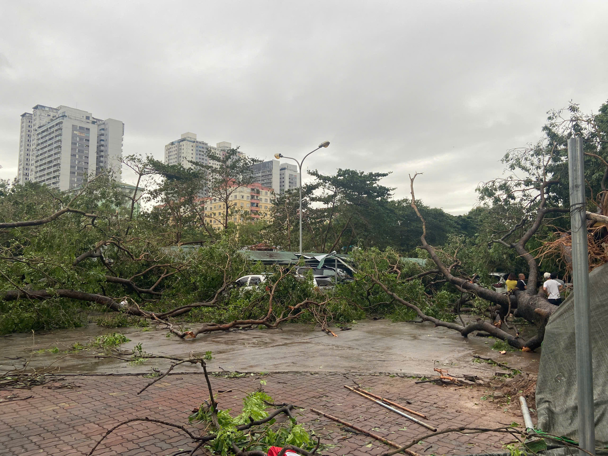 Hàng rào, cây lớn đổ rạp tại bãi trông giữ xe Bán đảo Linh Đàm, phường Hoàng Liệt, quận Hoàng Mai, Hà Nội. (Ảnh: ĐĂNG PHI)