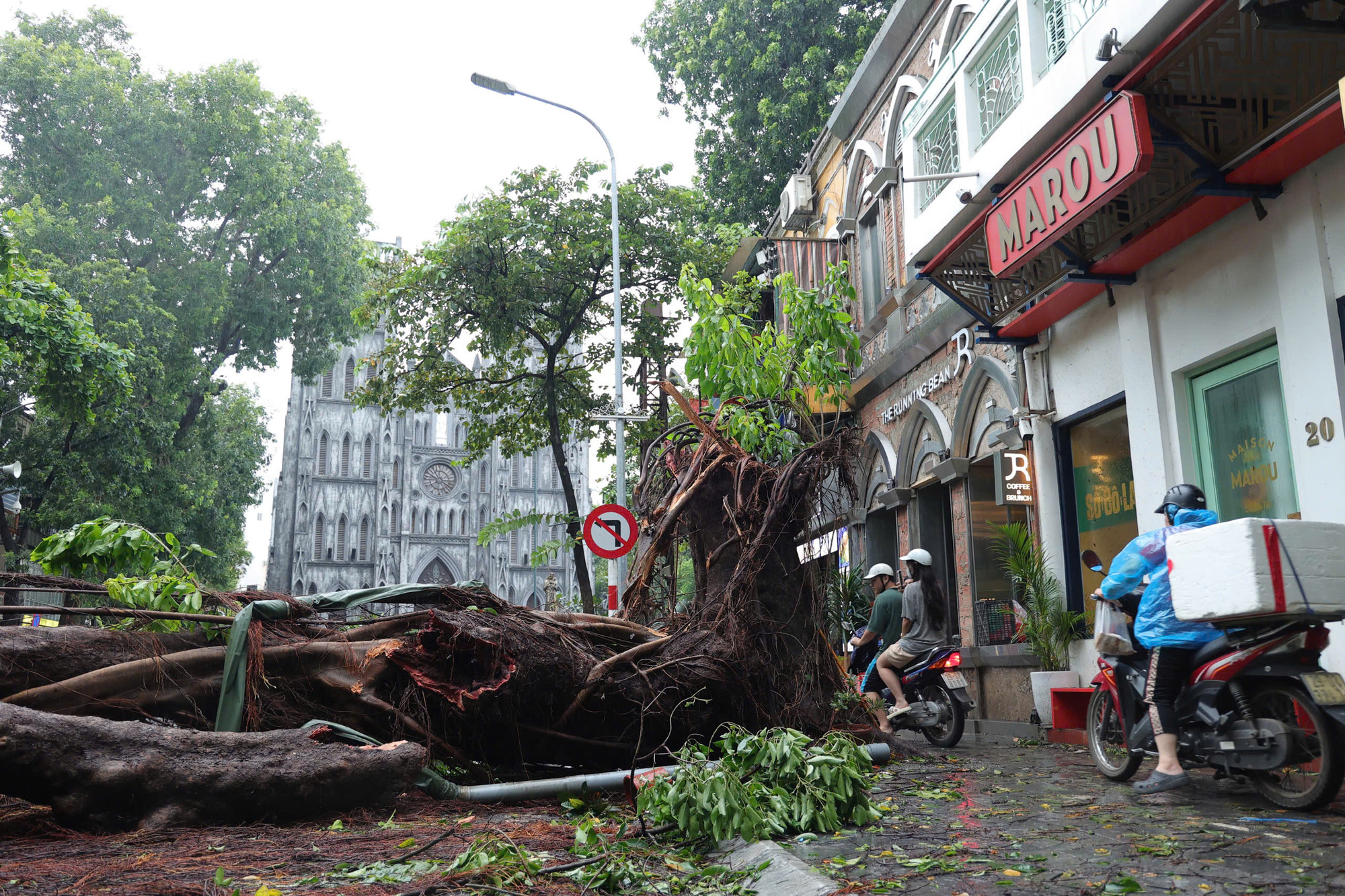 Cây cổ thụ bật gốc trên phố Nhà Thờ, Hà Nội. (Ảnh: HÀ NAM)