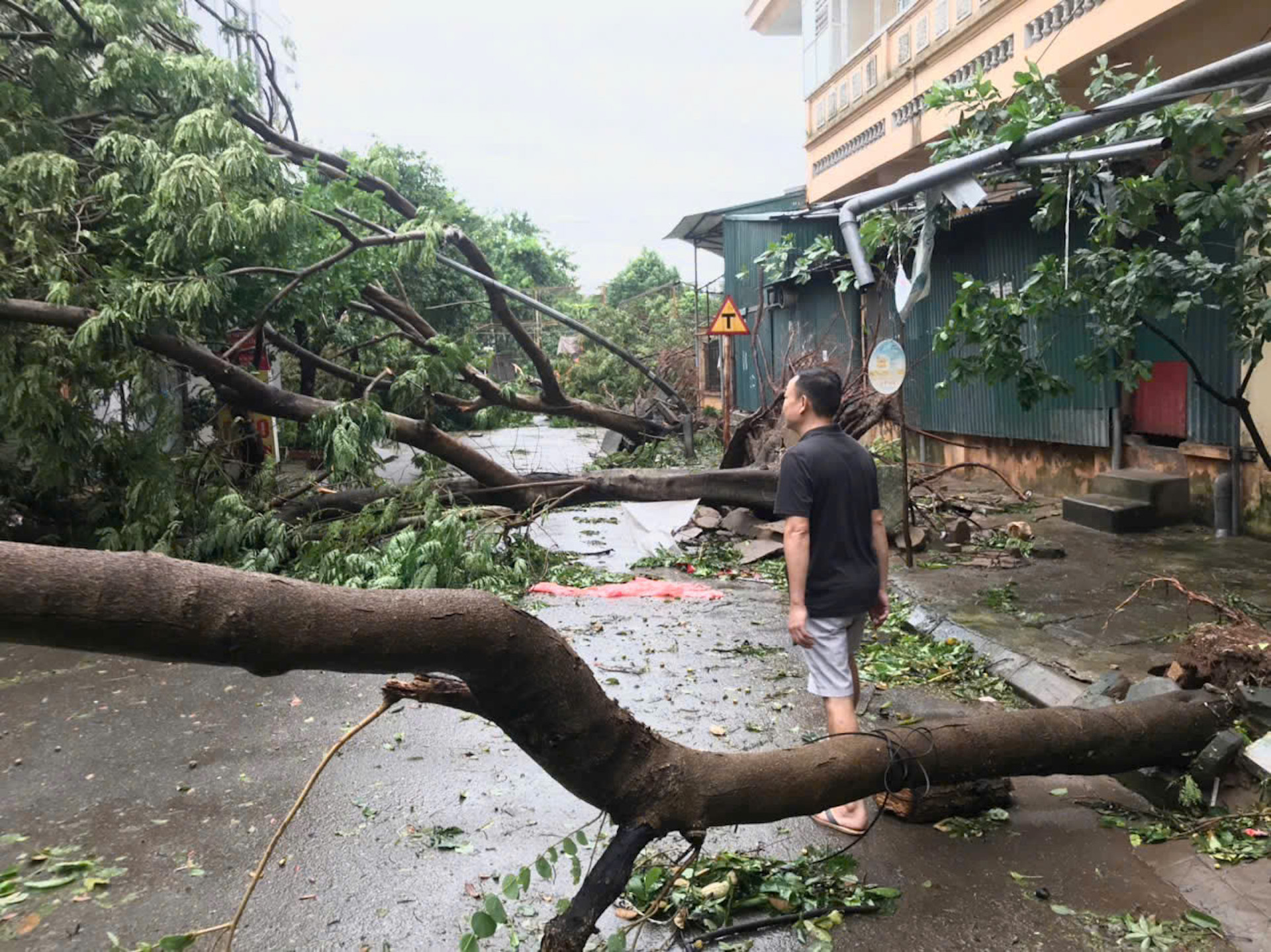 Cây đổ kín đường tại Mậu Lương, phường Kiến Hưng, Quận Hà Đông. (Ảnh: ĐÌNH TUẤN)