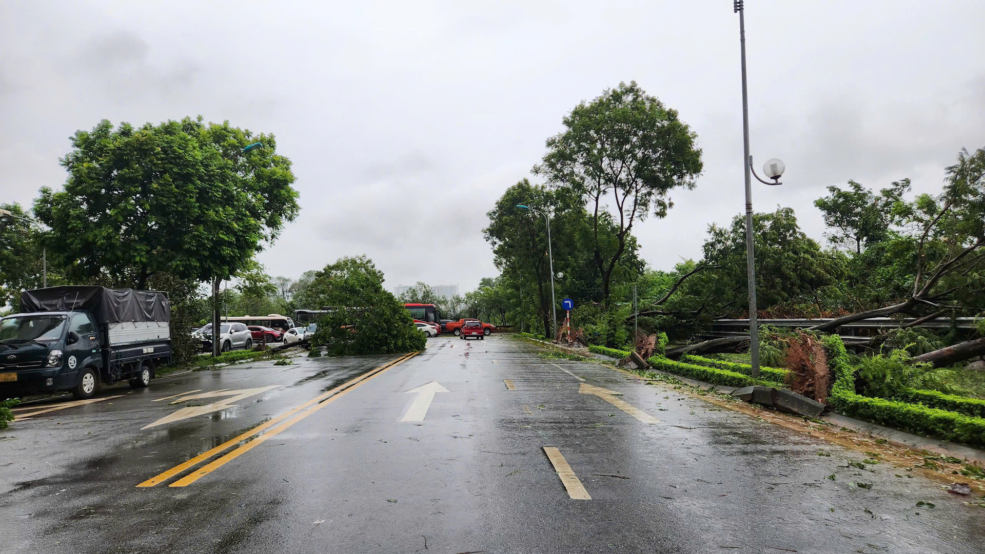 Cây đổ la liệt trên đường nội khu, khu đô thị Handiresco, phường Cổ Nhuế 2, quận Bắc Từ Liêm, Hà Nội. (Ảnh: NAM ĐÔNG)