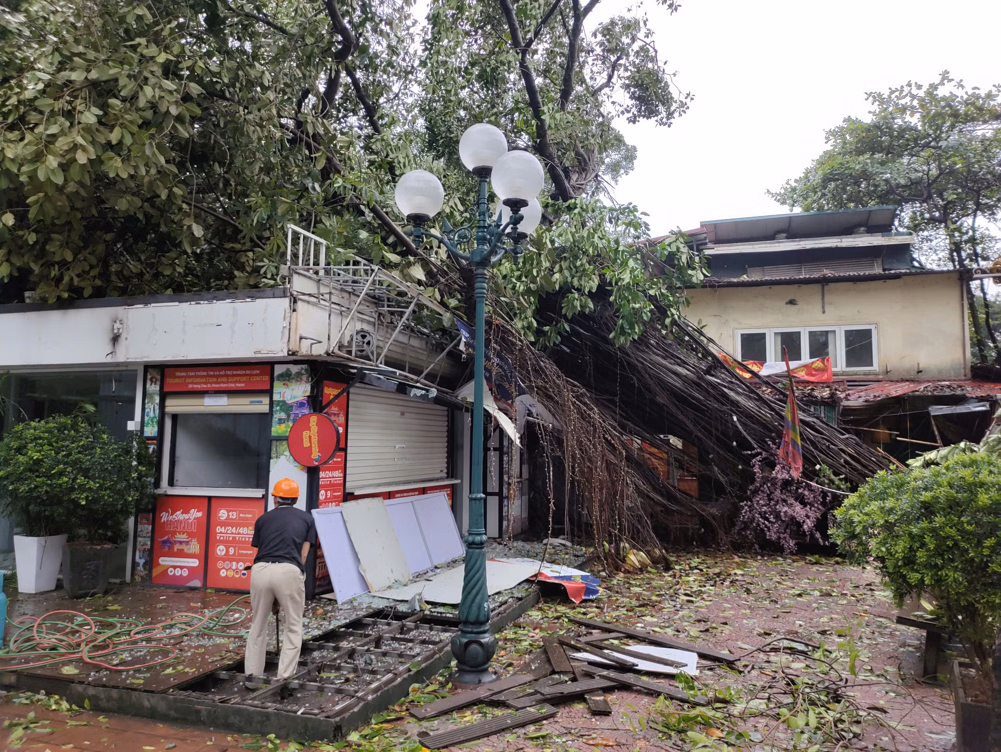Cây đổ ở khu vực đền Bà Kiệu, phố Đinh Tiên Hoàng, Hàng Trống, Hoàn Kiếm, Hà Nội. (Ảnh: DUY LINH) Cây đổ ở khu vực đền Bà Kiệu, phố Đinh Tiên Hoàng, Hàng Trống, Hoàn Kiếm, Hà Nội. (Ảnh: DUY LINH)