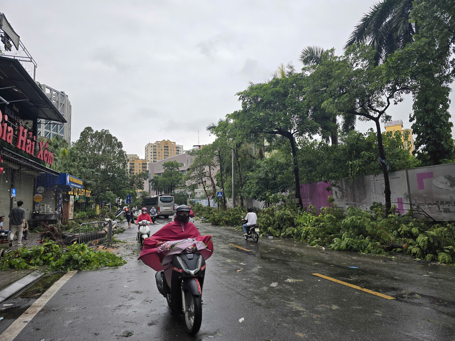 Hàng loạt cây gãy, đổ trên phố Ngọc Khánh, quận Ba Đình, Hà Nội. (Ảnh: TRUNG HIẾU)