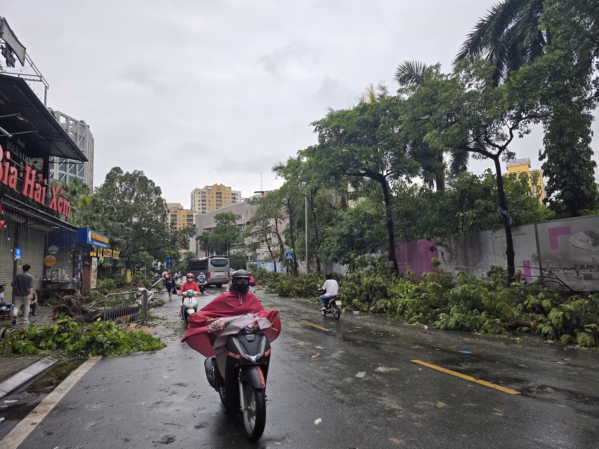 Hàng loạt cây gãy, đổ trên phố Ngọc Khánh, quận Ba Đình, Hà Nội. (Ảnh: TRUNG HIẾU) Hàng loạt cây gãy, đổ trên phố Ngọc Khánh, quận Ba Đình, Hà Nội. (Ảnh: TRUNG HIẾU)