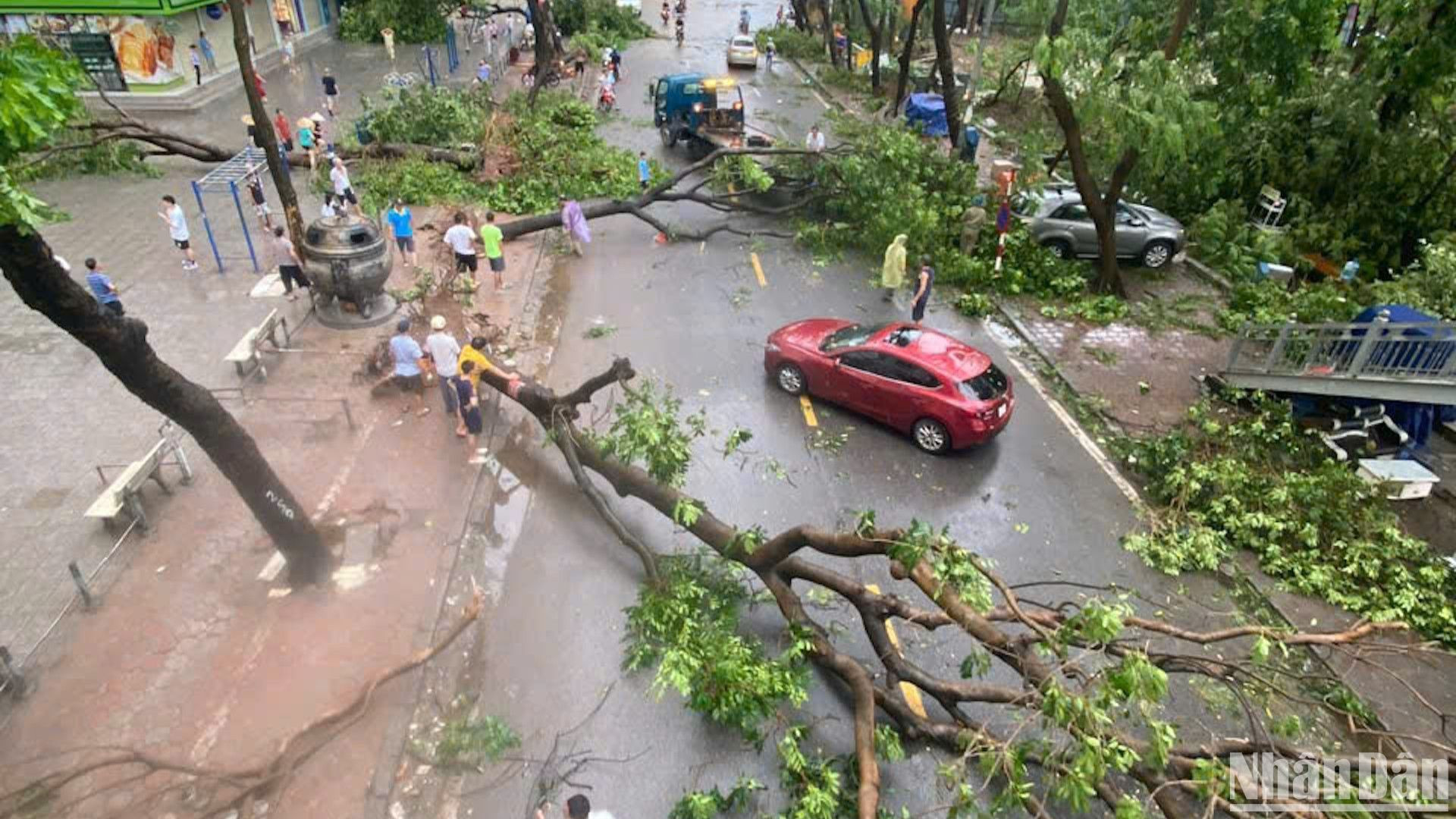 Cây đổ la liệt trên đường Nguyễn Phan Chánh, trước khu chung cư HH Linh Đàm, phường Hoàng Liệt, quận Hoàng Mai, Hà Nội. (Ảnh: HẢI CHÍNH)