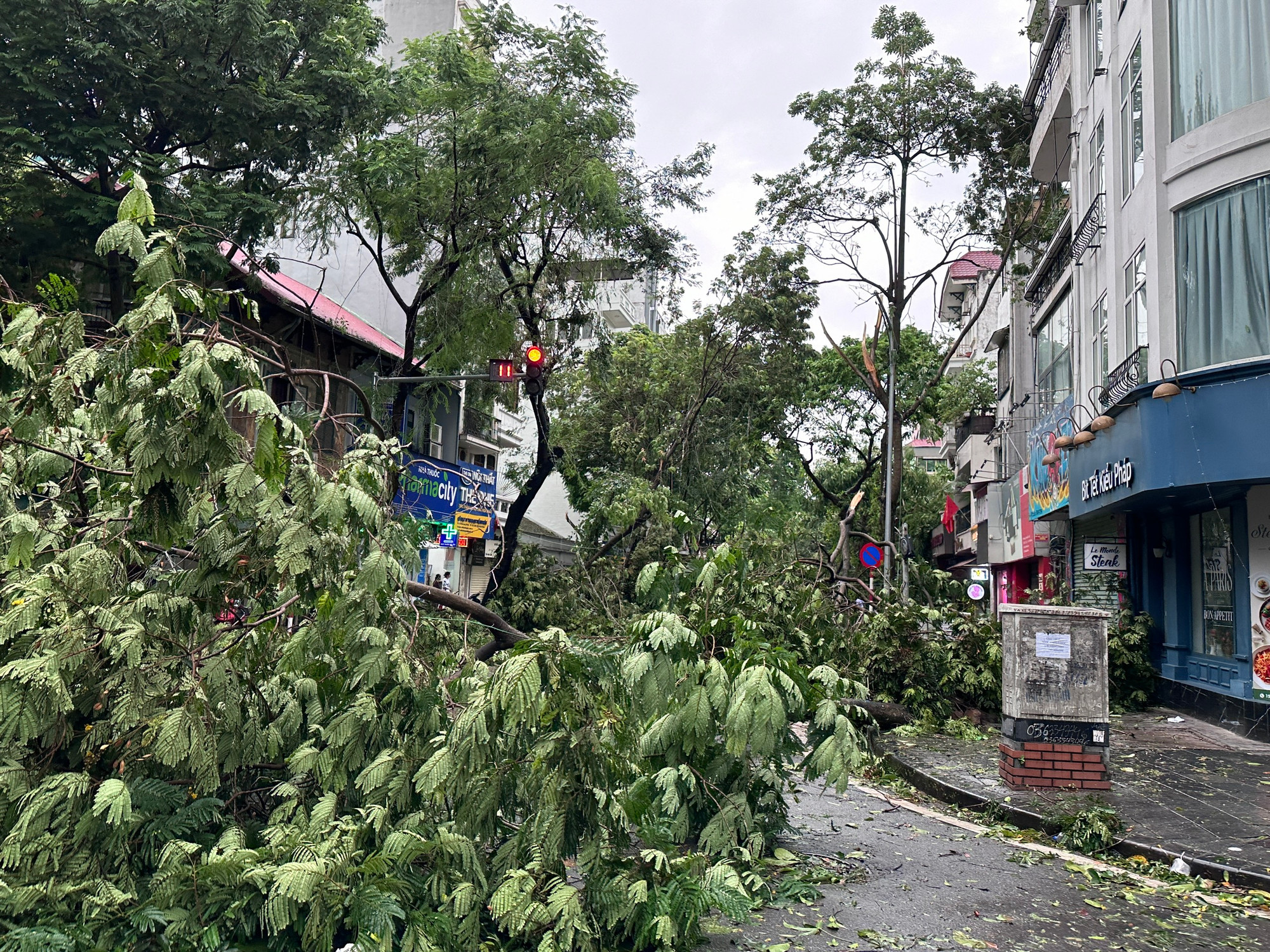 Cây đổ trên phố Hàm Long. (Ảnh: PHÙNG TRANG)