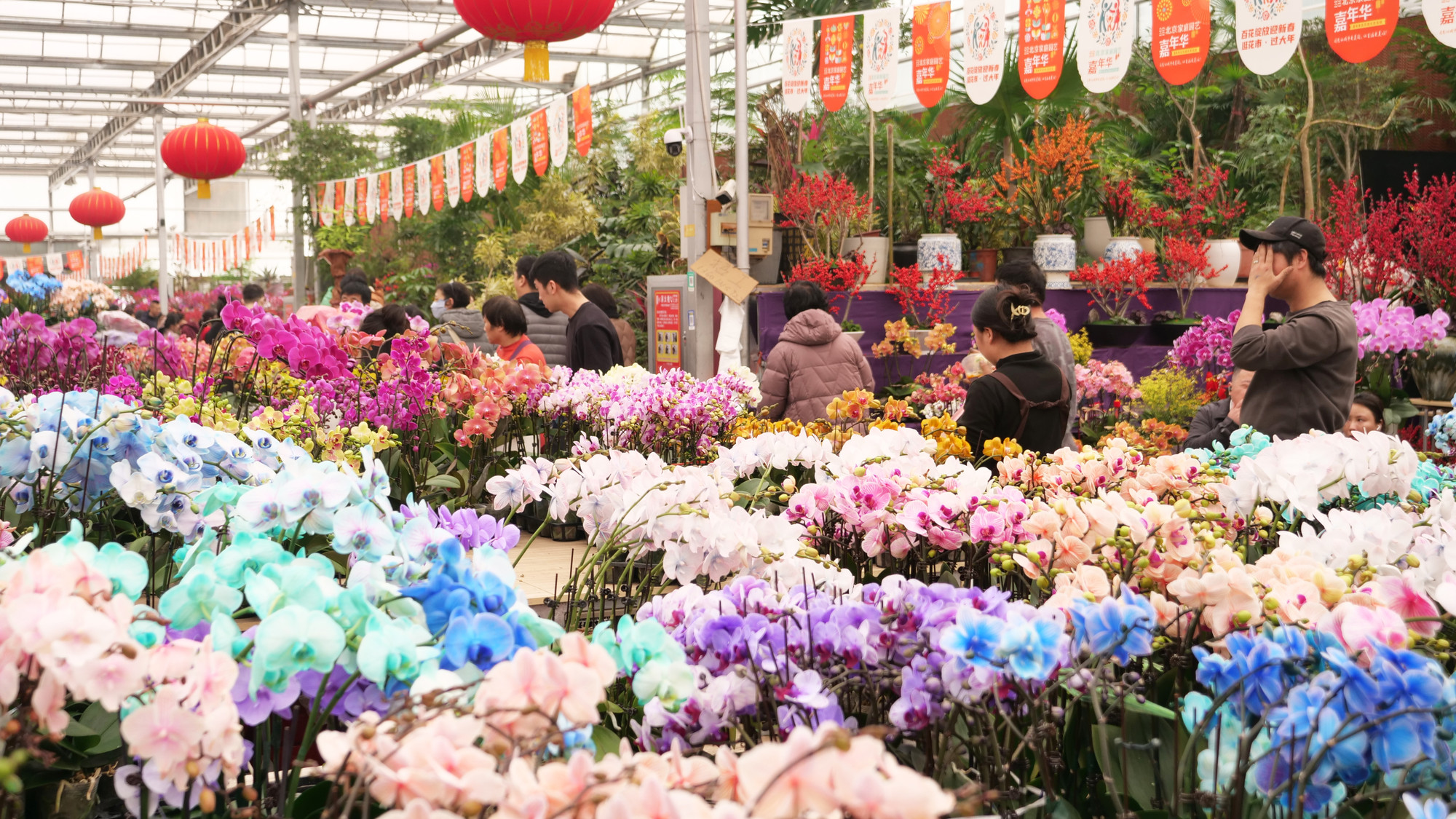Cách trung tâm thành phố 20km, Huangtugang là một trong những chợ bán buôn hoa lớn nhất thành phố Bắc Kinh. Cách trung tâm thành phố 20km, Huangtugang là một trong những chợ bán buôn hoa lớn nhất thành phố Bắc Kinh.
