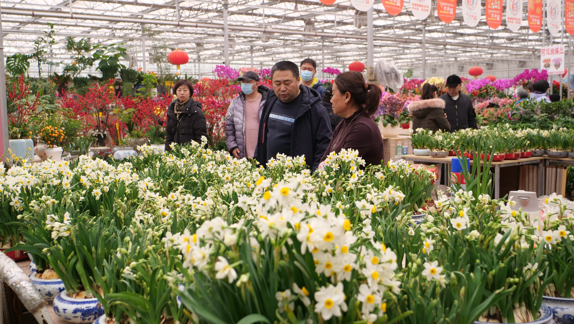 Sạp hoa thủy tiên sáng bừng một góc chợ. Sạp hoa thủy tiên sáng bừng một góc chợ.