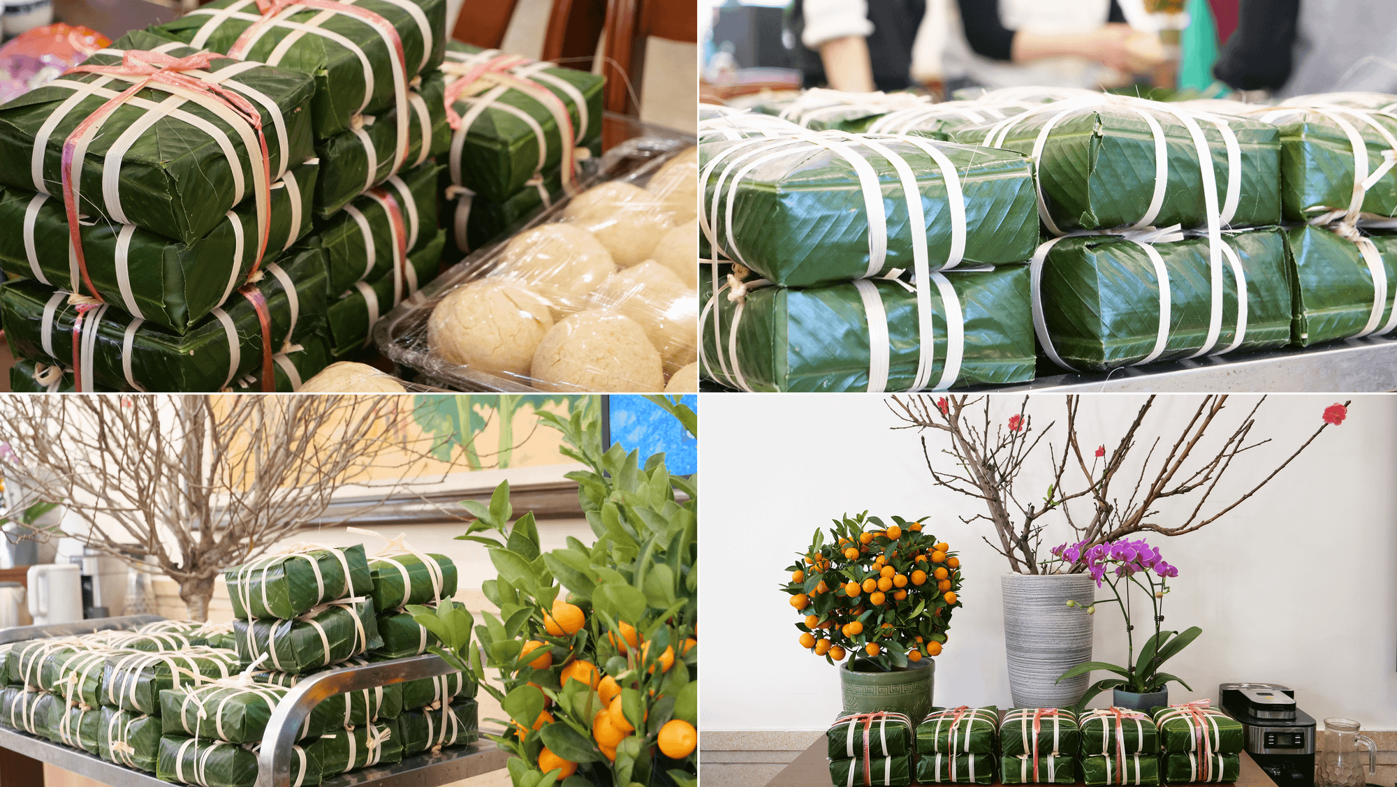 Thành phẩm bánh chưng trong không khí Tết với cành đào, cây quất.