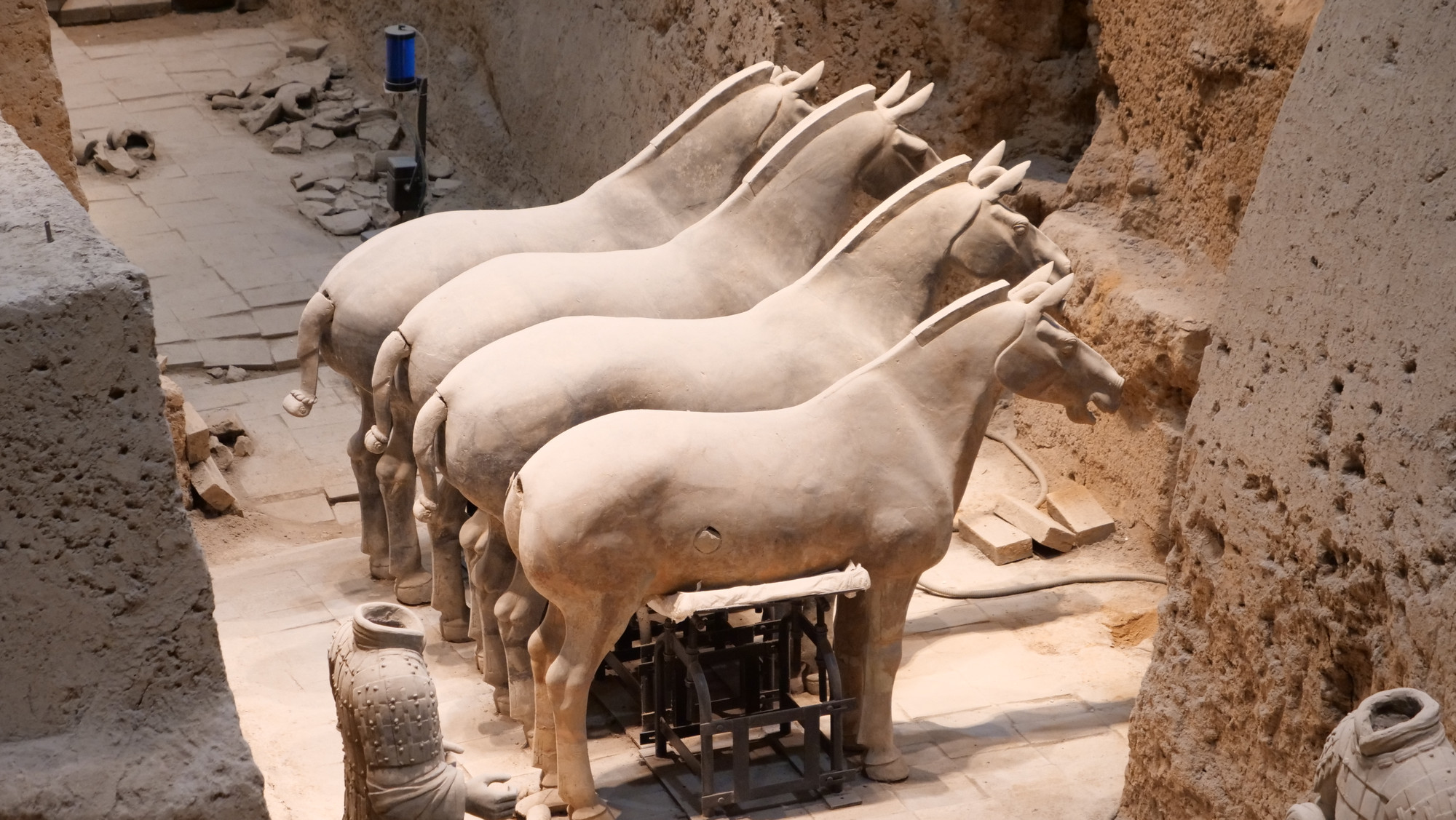 Bốn con ngựa dùng để kéo chiến xa.