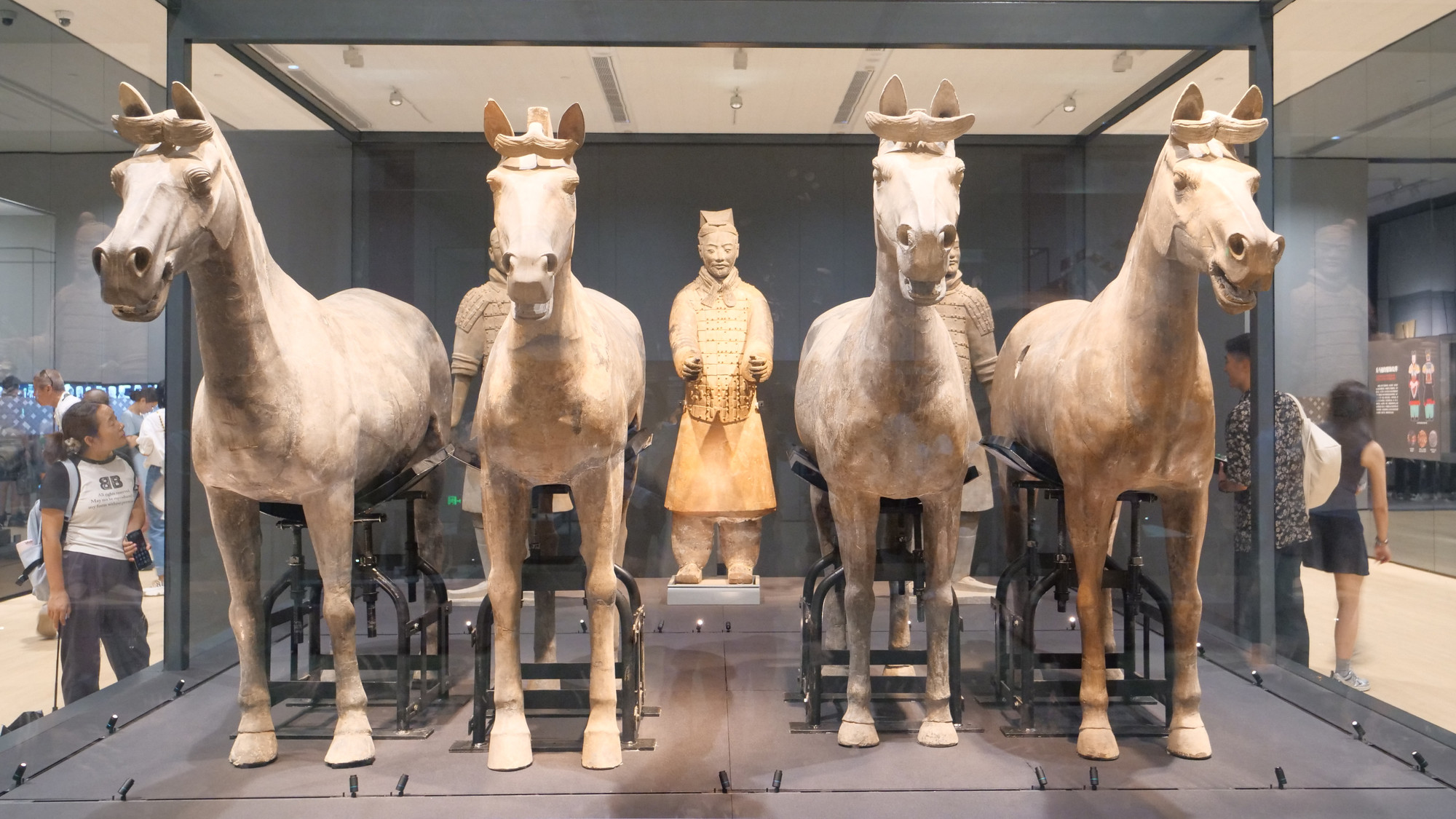 Tượng đất nung và chiến mã được trưng bày trong Phòng trưng bày.