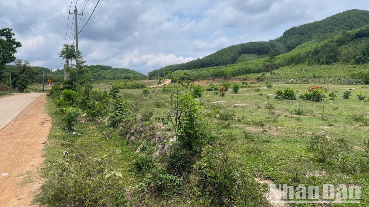 Dự án định canh, định cư xã Ea Yiêng bị bỏ hoang 3 năm nay. Dự án định canh, định cư xã Ea Yiêng bị bỏ hoang 3 năm nay.